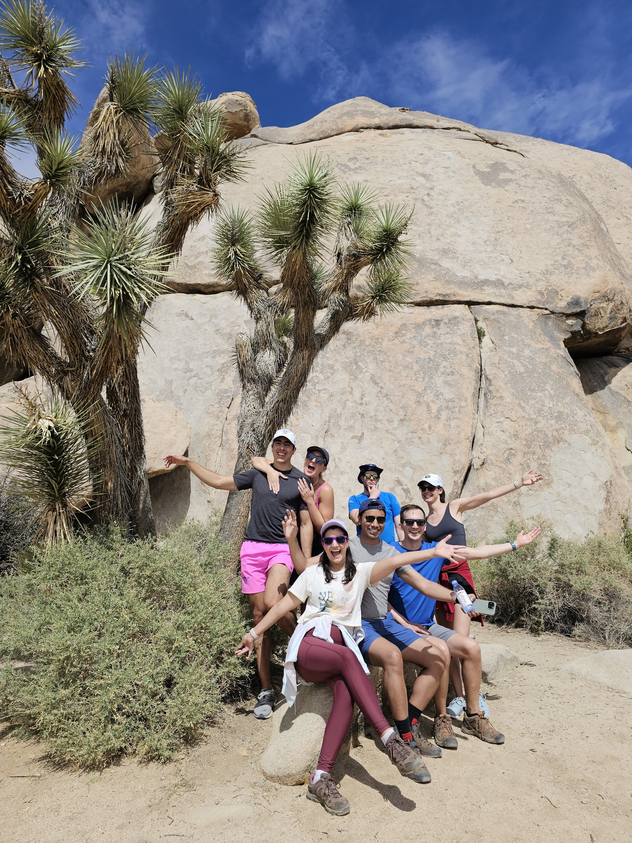 Palm Springs Reunion