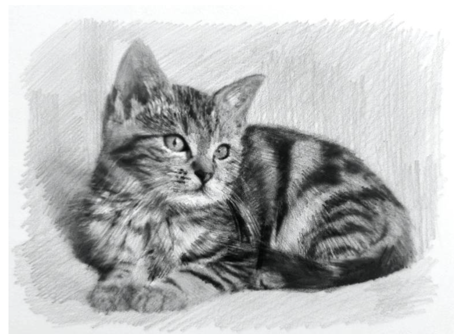 The Kitten