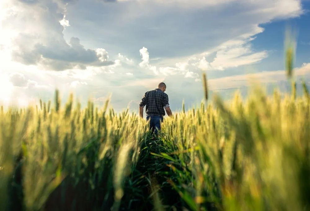 Monetizing Sustainability: Structuring Farmland Leases for the Climate-Smart Commodities Era