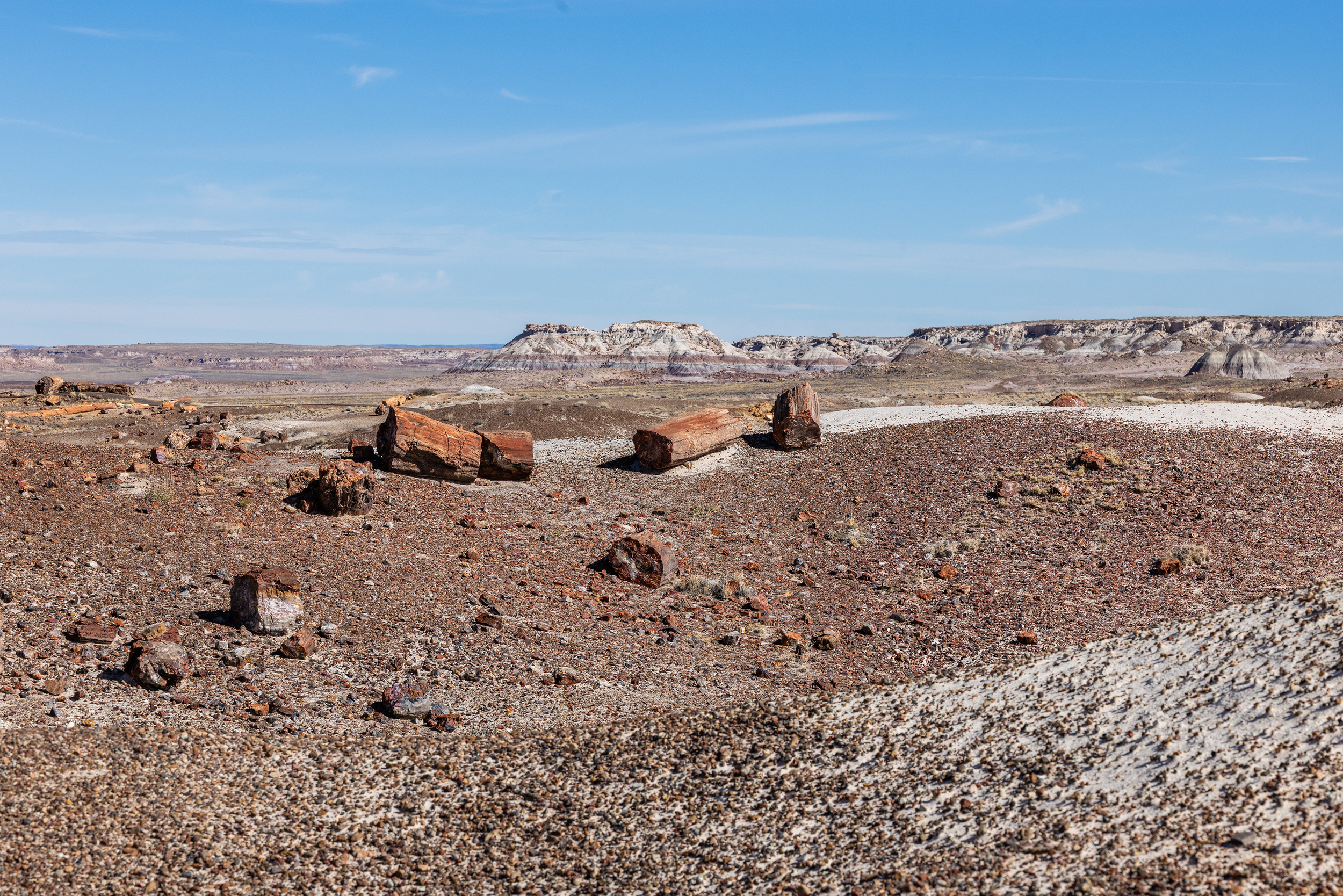 Petrified Forest National Park