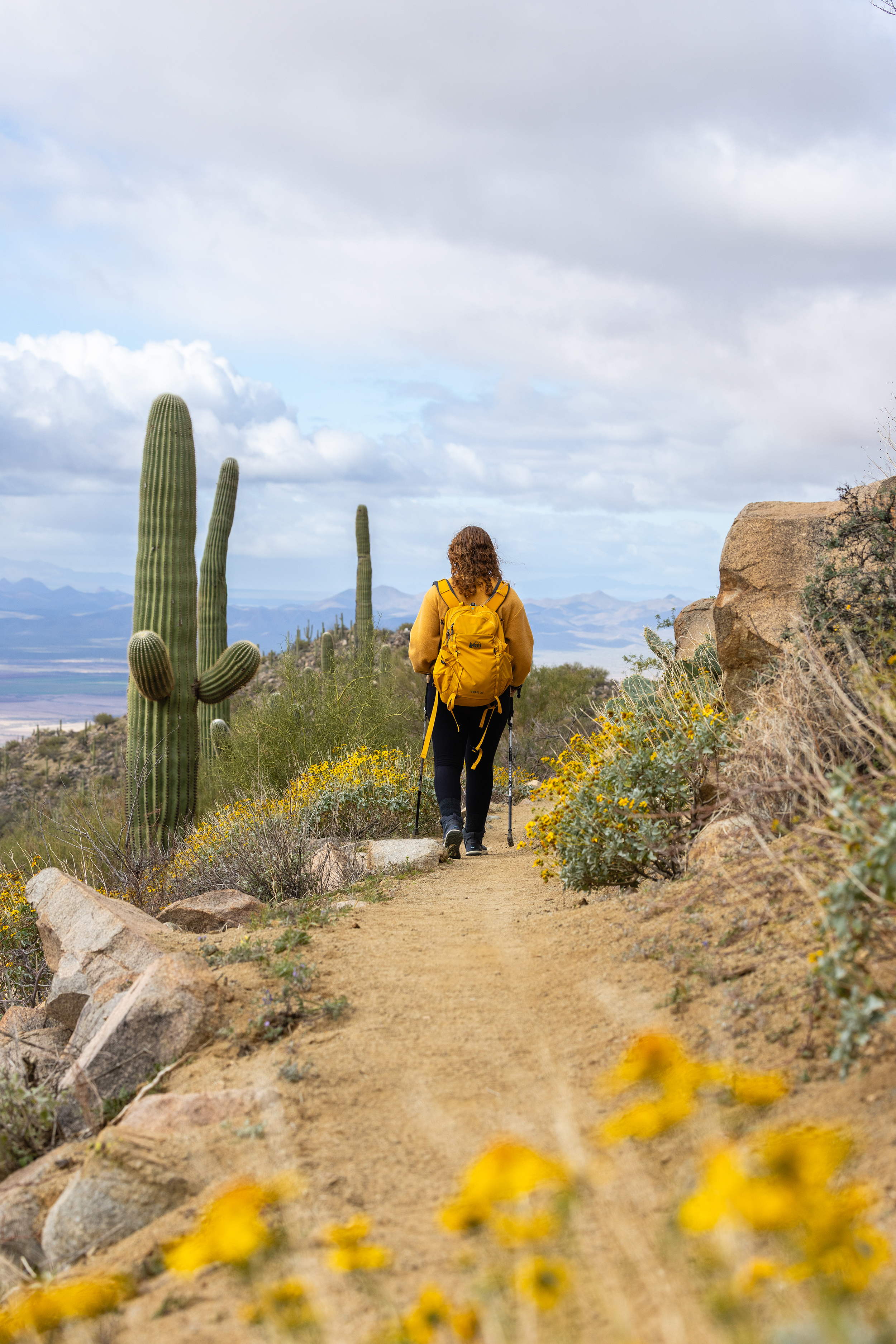 Saguaro National Park