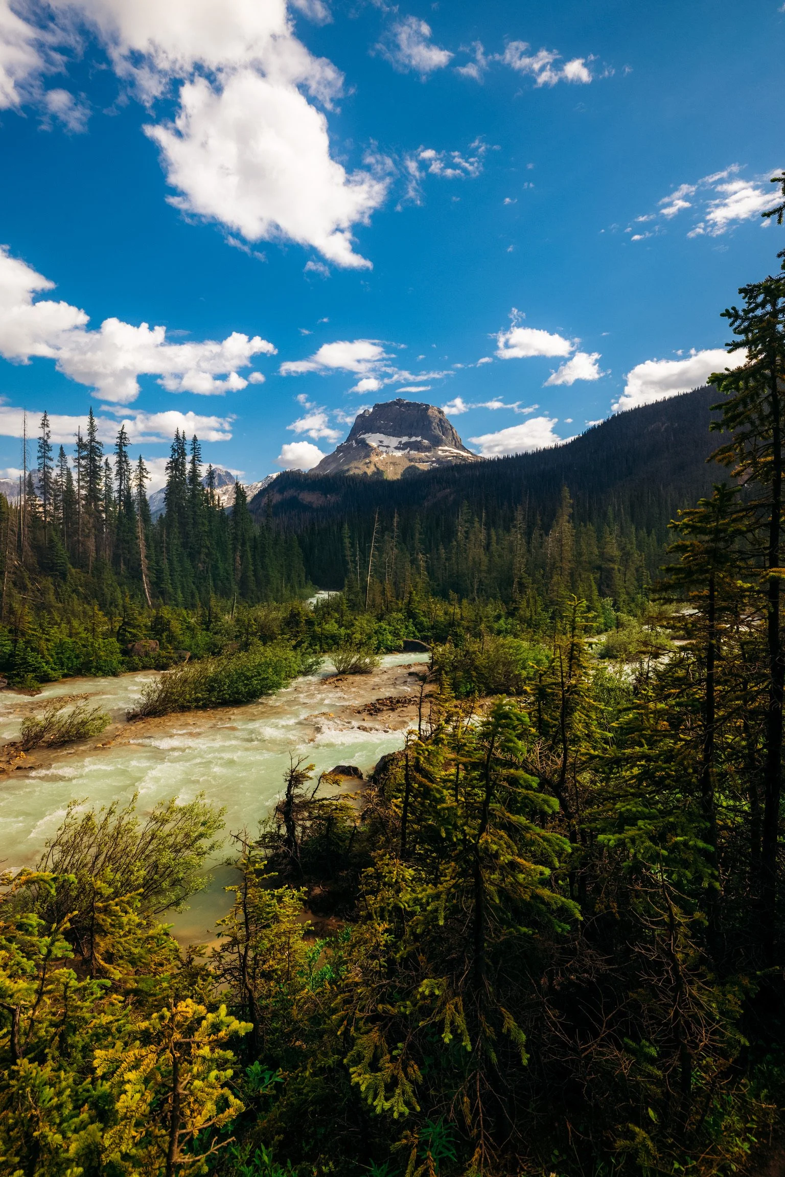 Takkakaw Falls-0786.JPG