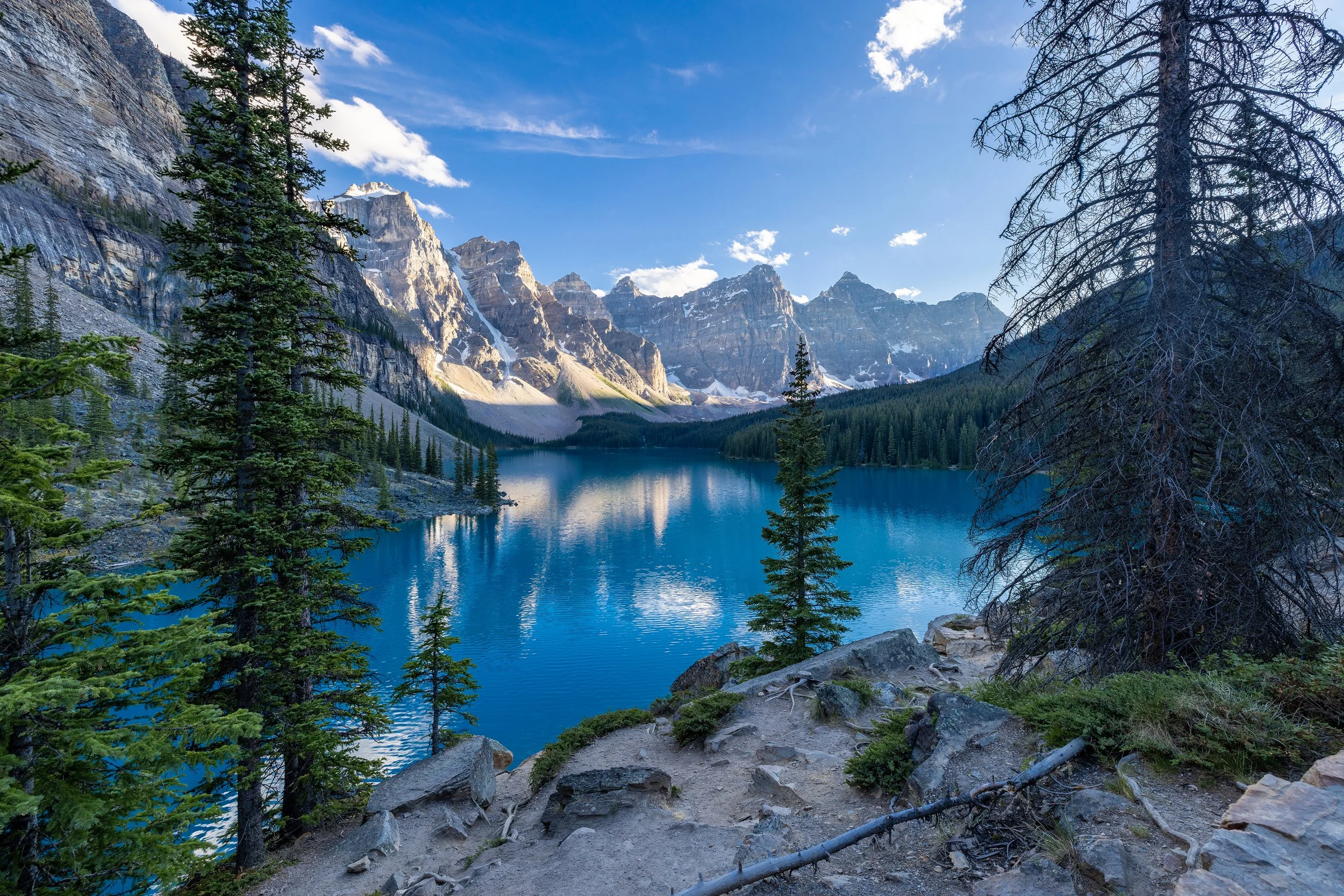 Website Header 3.jpg