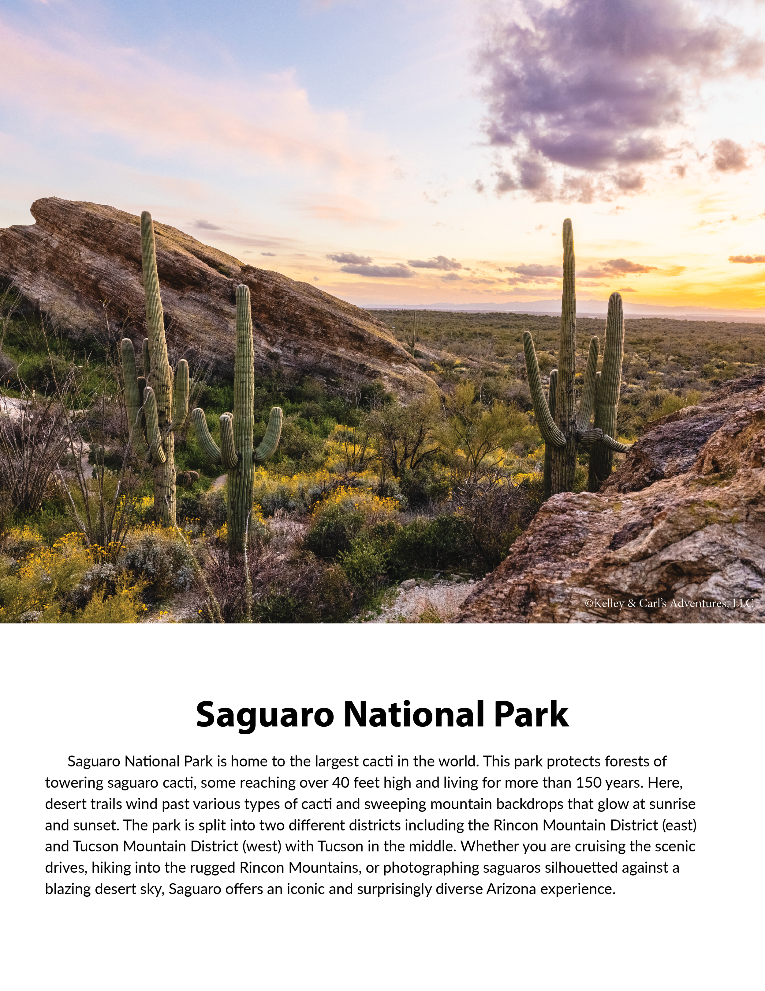 Arizona_Guide_Images4.png
