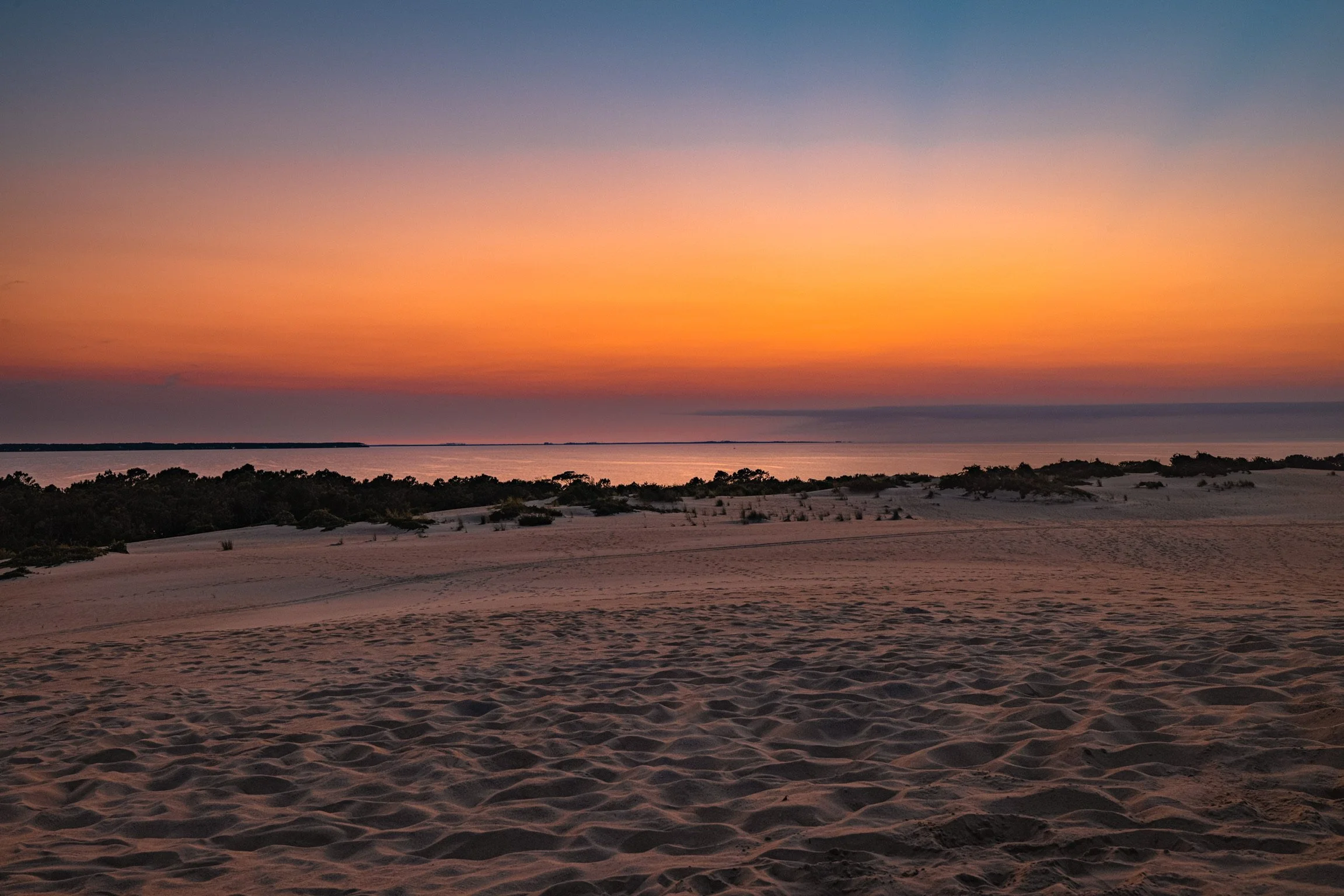 Jockey's Ridge-6.JPG