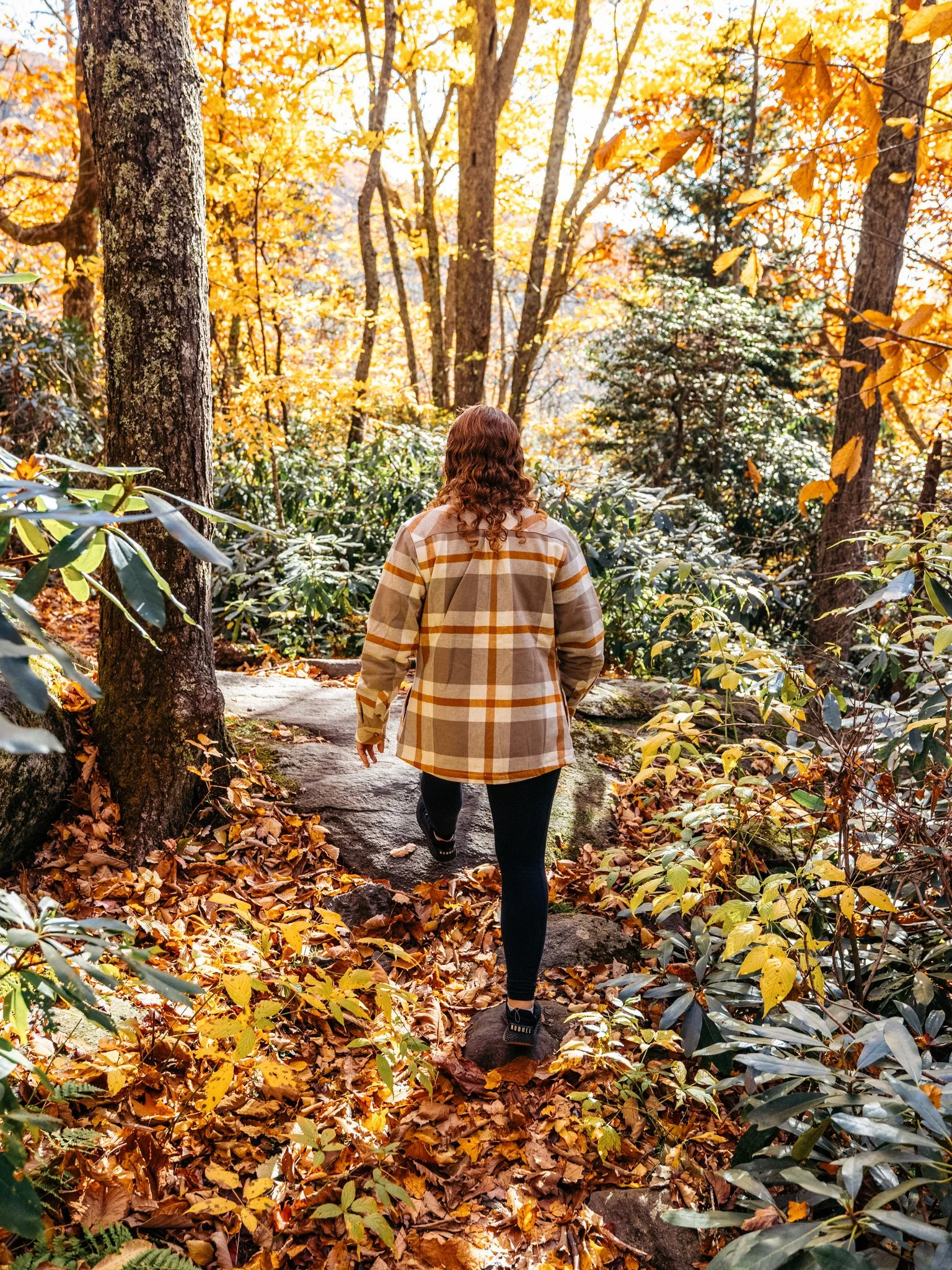 Smokie Mt. National Park-0217.JPG