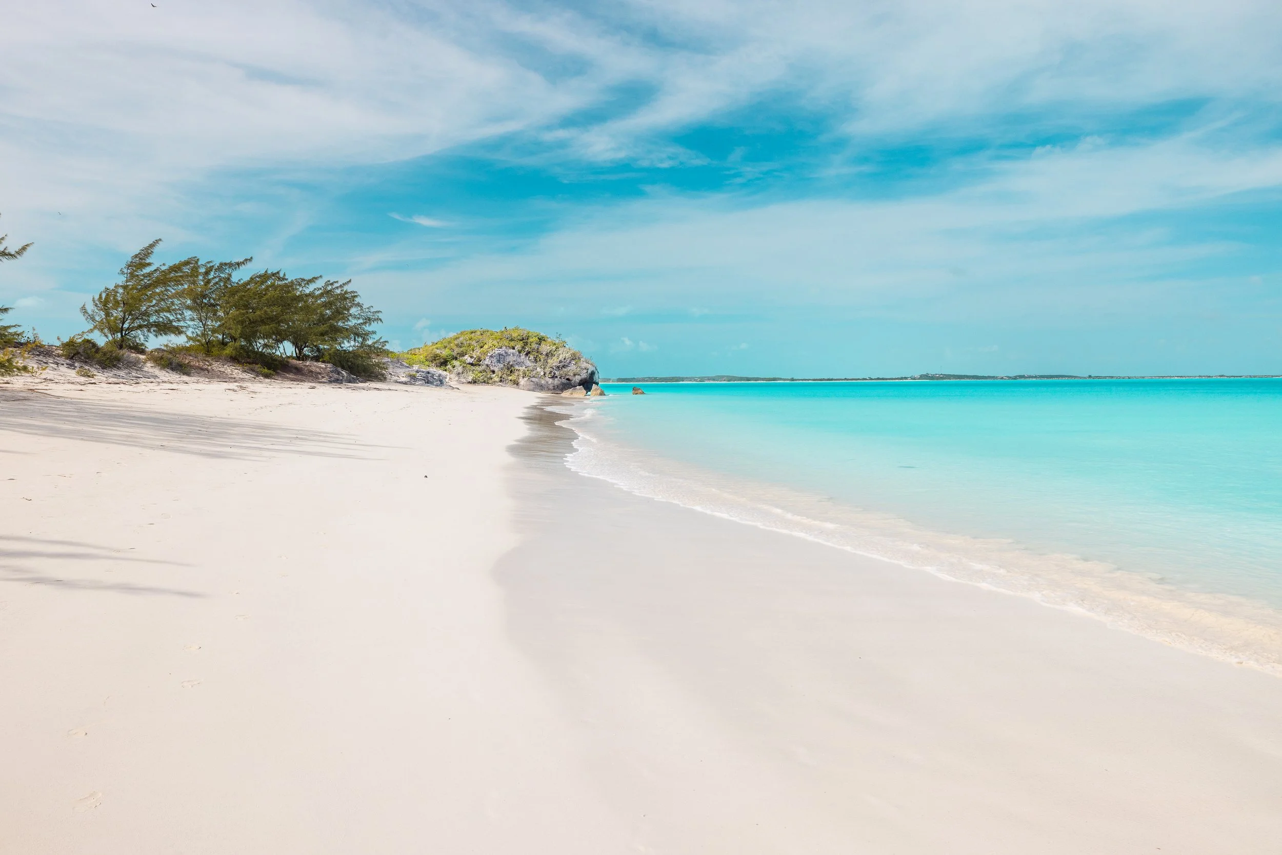 Website Header 5.jpg