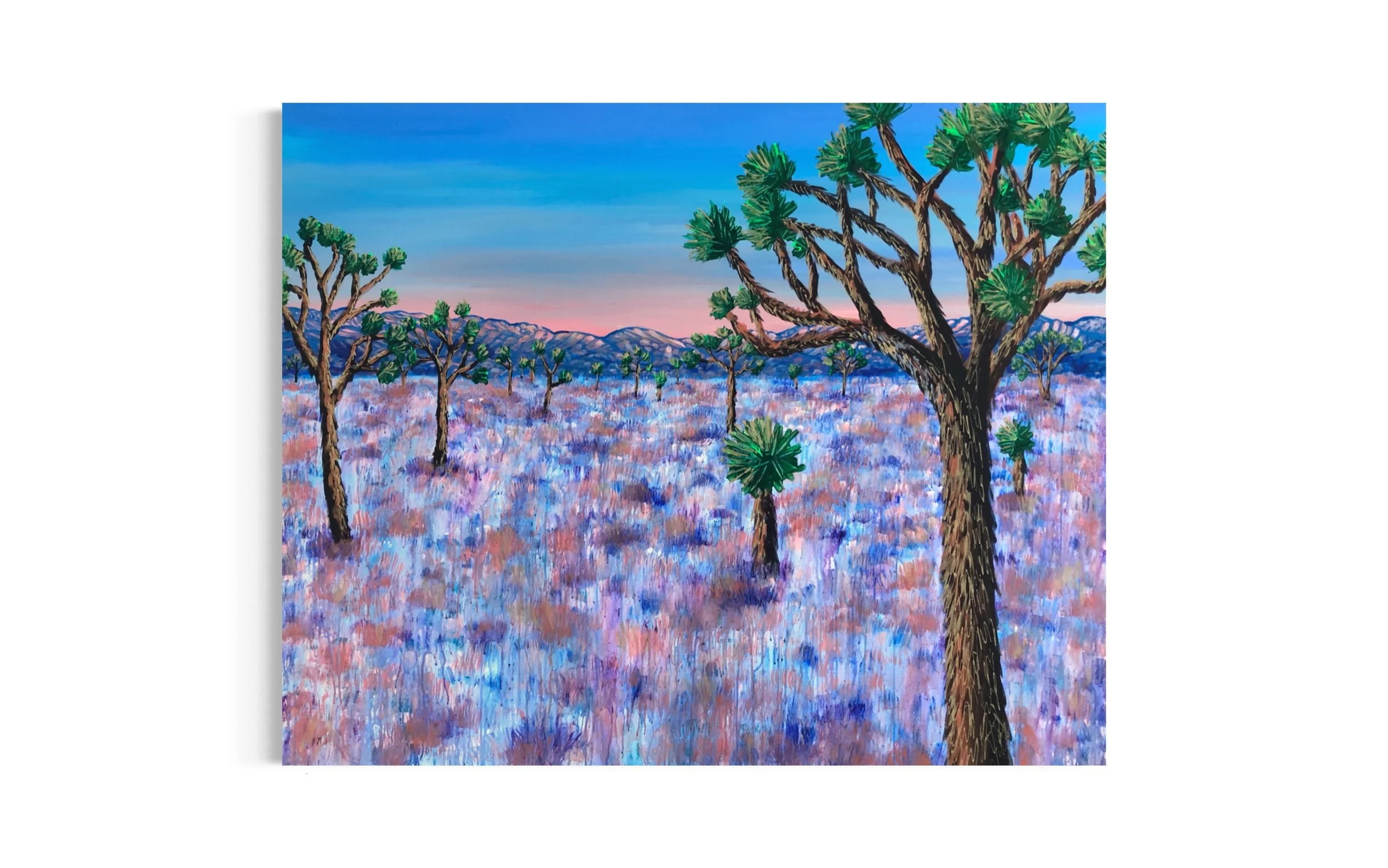 Calm Mojave Resized .JPG