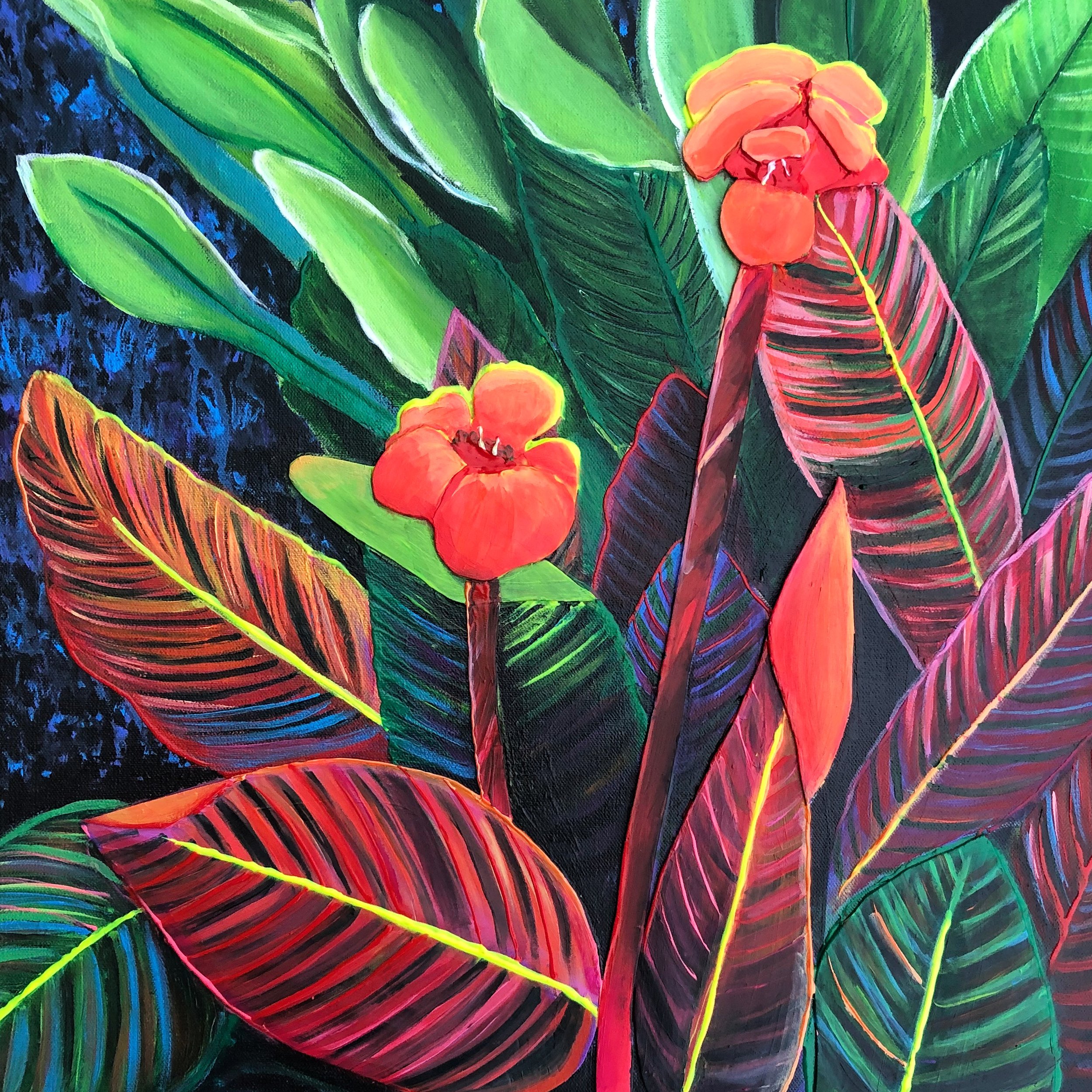 2020 Cannas Bloom.JPG