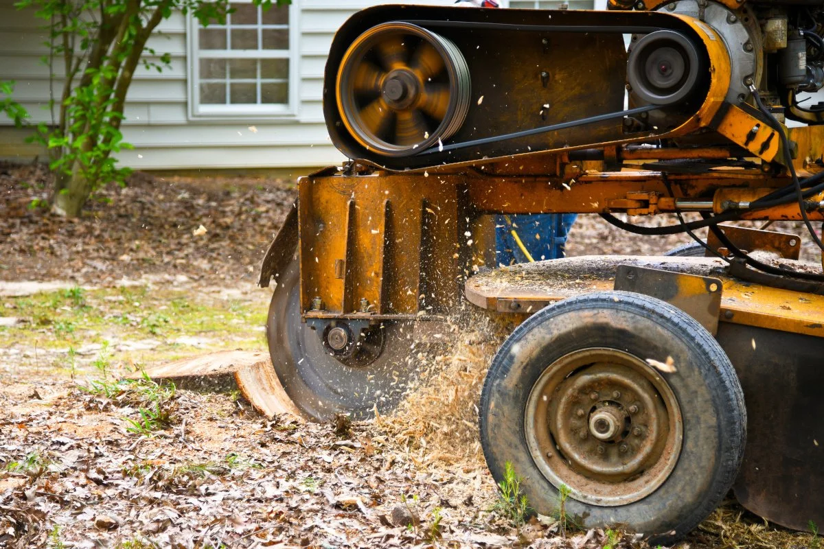 Stump Grinding Services - Brainerd Lakes - Minnesota