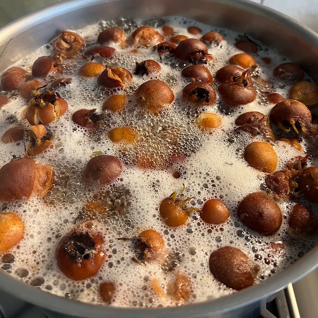 medlars beginning to boil.jpg