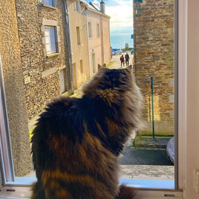 Cancale-kitchen-cat-la-houle-400x400.jpg