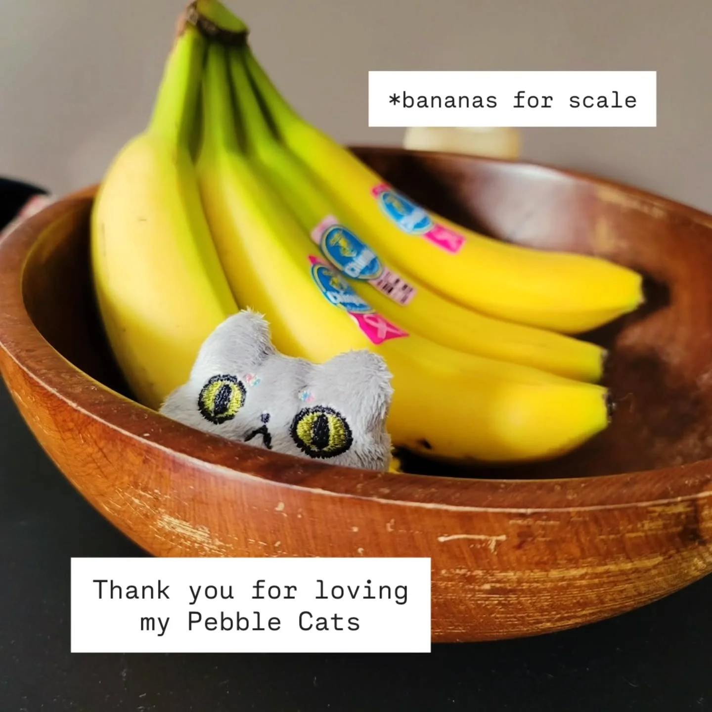 I first started making Pebble Cats in 2022, inspired by my mom's cat named Chaz. (Swipe for Chaz pics) He was such a funny cat! I always felt like it was because he was raised with all dogs since he was a kitten. I still miss him, but I am really hap