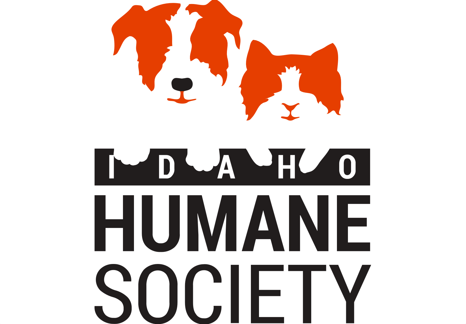 Screenshot 2024-03-05 at 9.40.32 AM.png