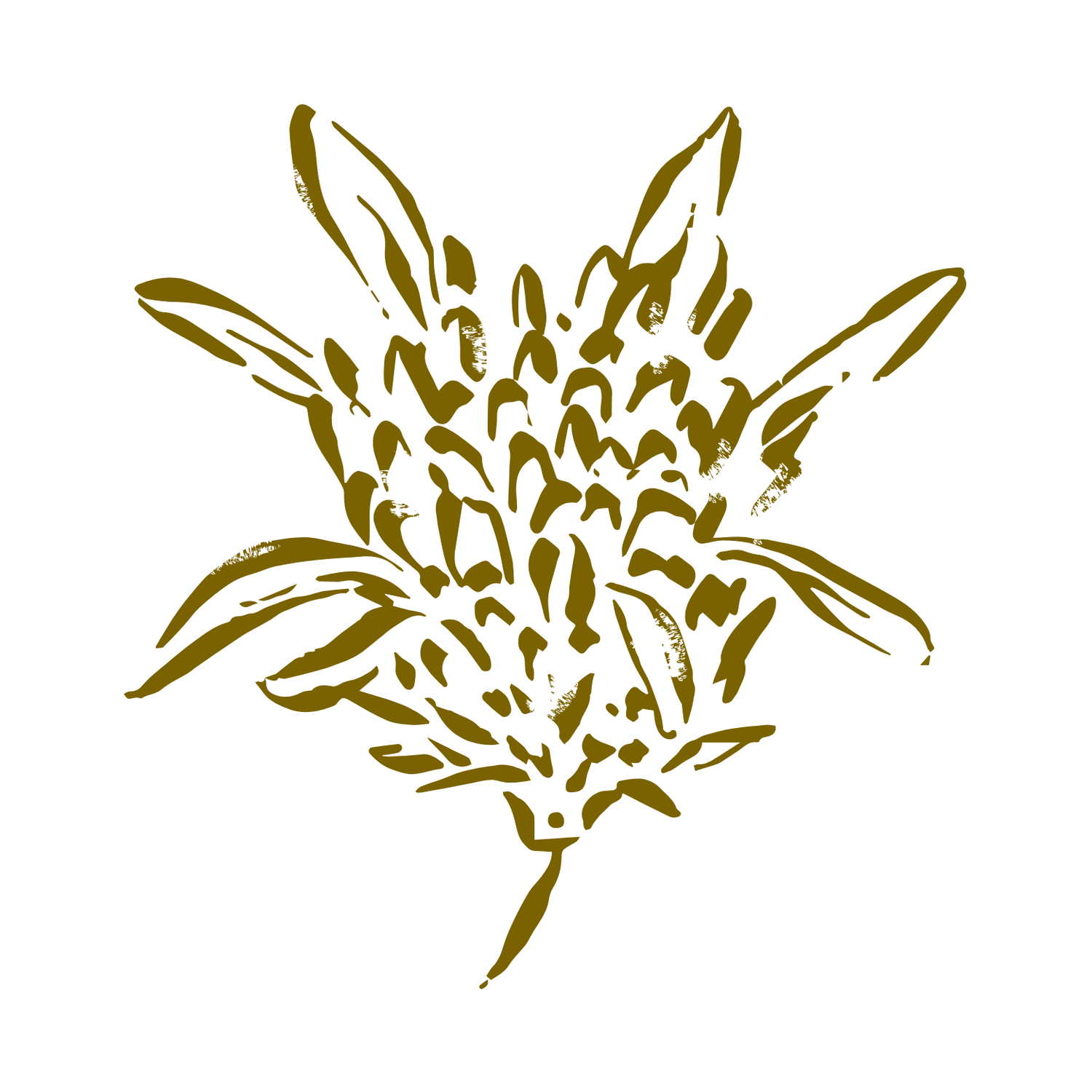 Organized by Caroline Dabney