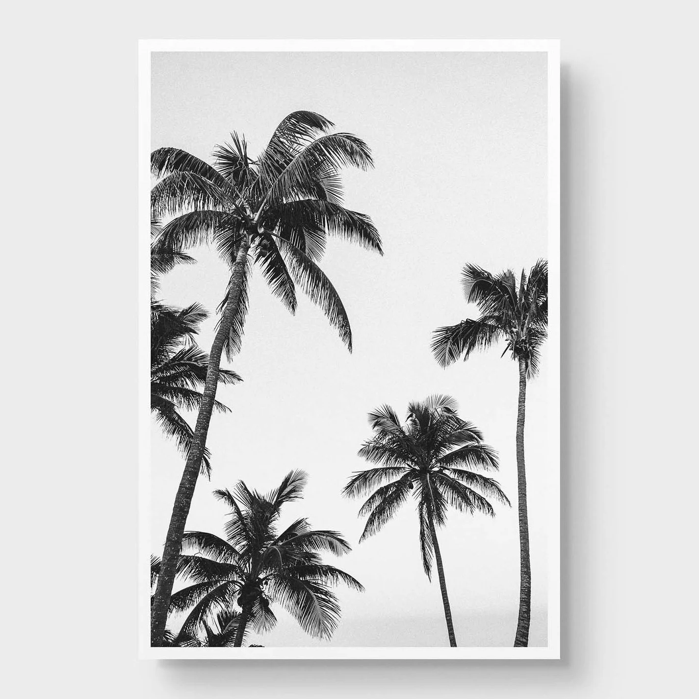Miami Art Photography Beach House Decor