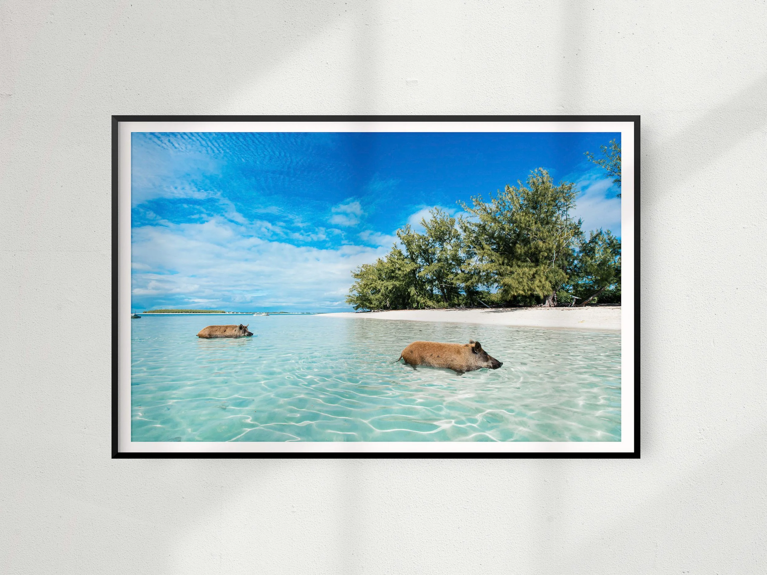 Bahamas Art Photography Beach House Decor