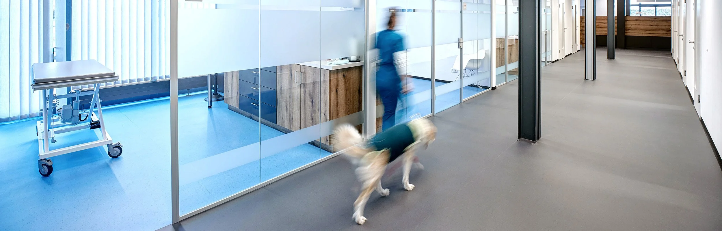 Vetzentrum_Anif_Indoor_5_2026.jpg