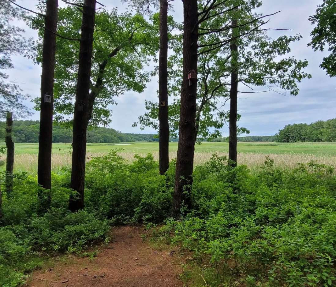 WILDLIFE PRESERVATION