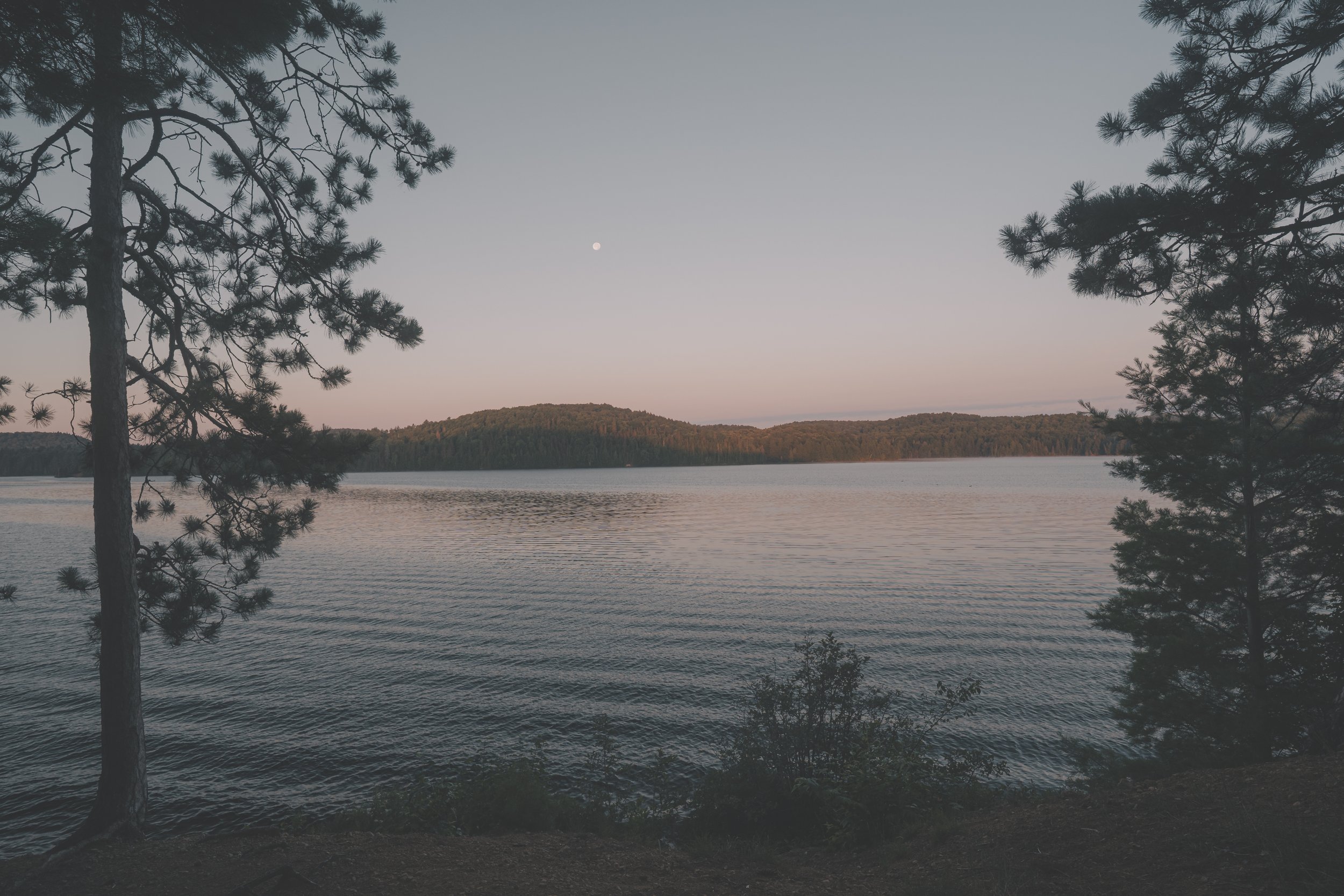 LANDSCAPE Fine Art Lake Opeongo Summer Evening ALGONQUIN 2026.jpg