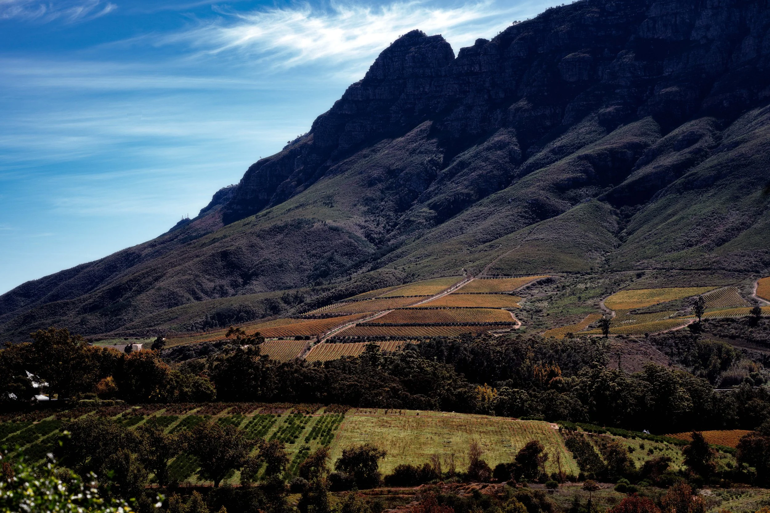 TRAVEL Stellenbosh Vast Landscape SOUTH AFRICA 2025.jpg