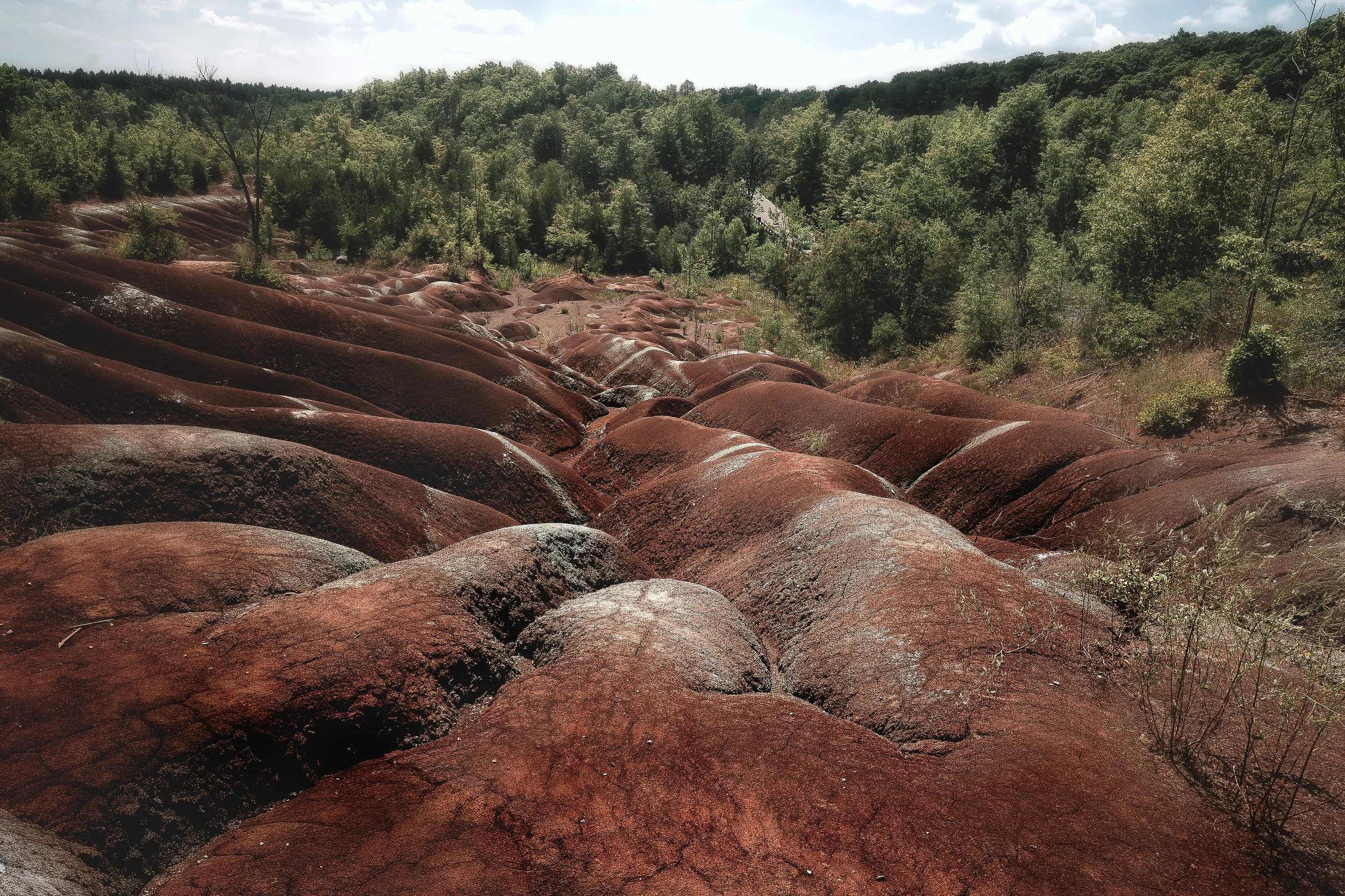 LANDSCAPE FINE ART Cheltanham Badlands ONT AUG 2025.jpg