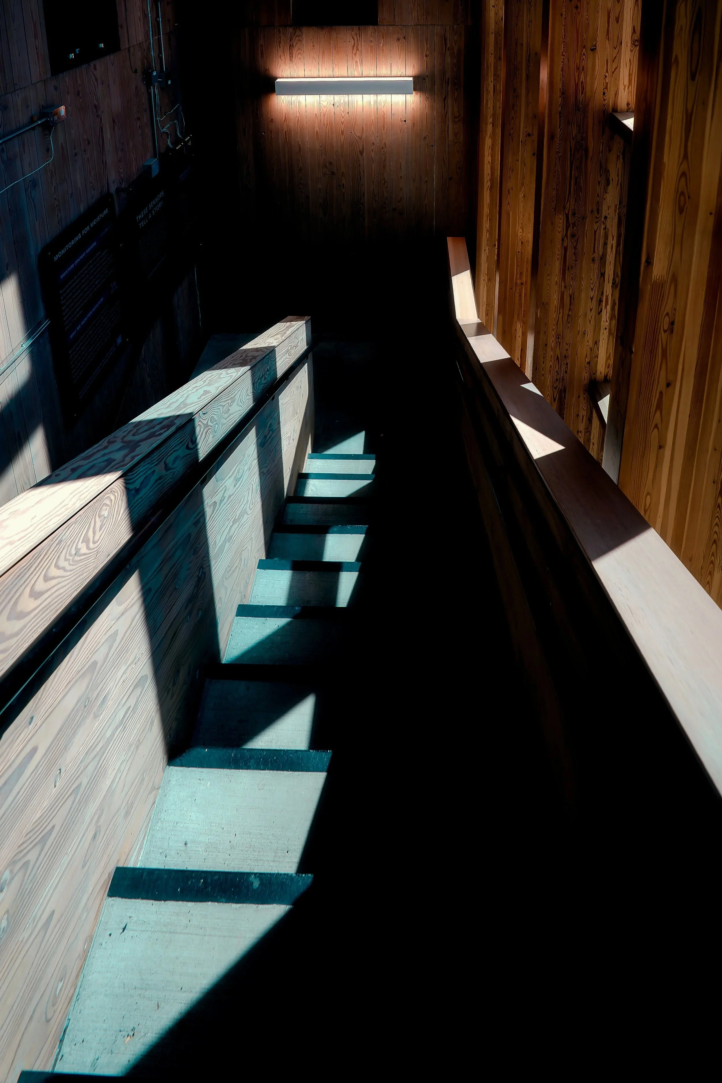 STRUCTURES+Thomas+Maness+OSU+Staircase+OREGON+2025.jpg