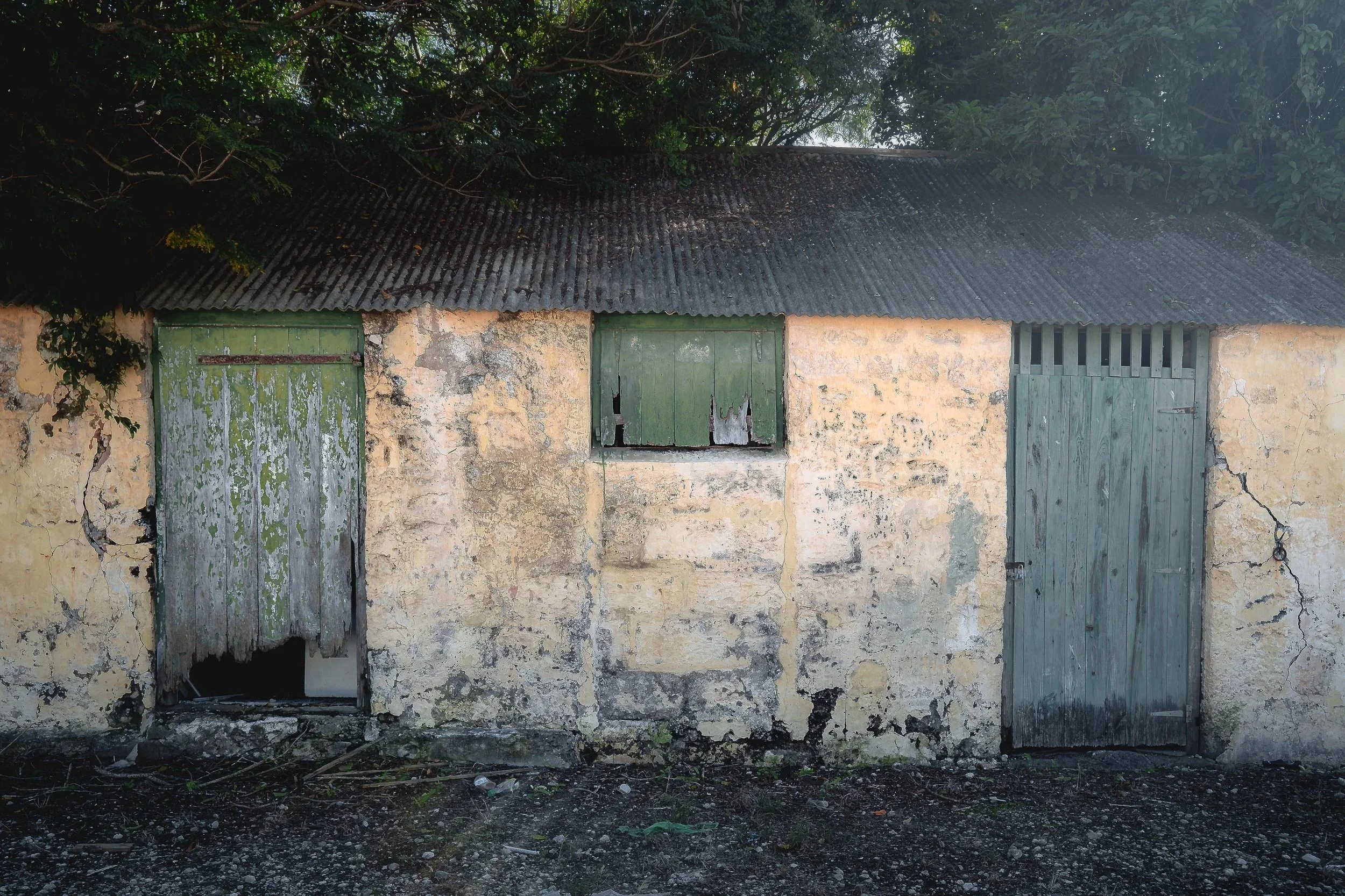 DWELLINGS+Fine+Art+The+Belle+BARBADOS+2024.jpg