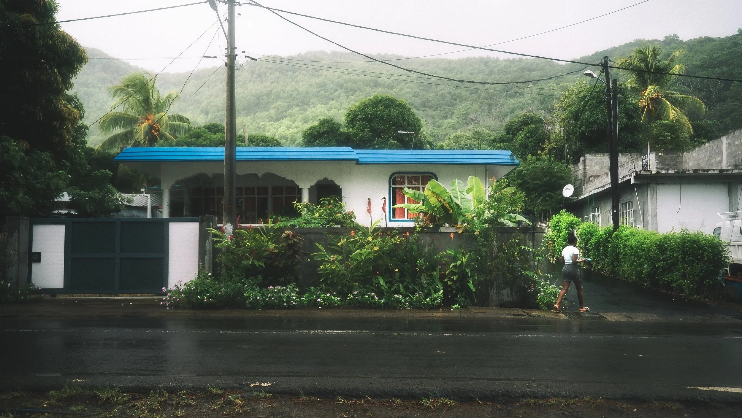 TRAVEL+Fine+Art+Le+Mourne+Woman+Walking+By+V2+MAURITIUS.jpg