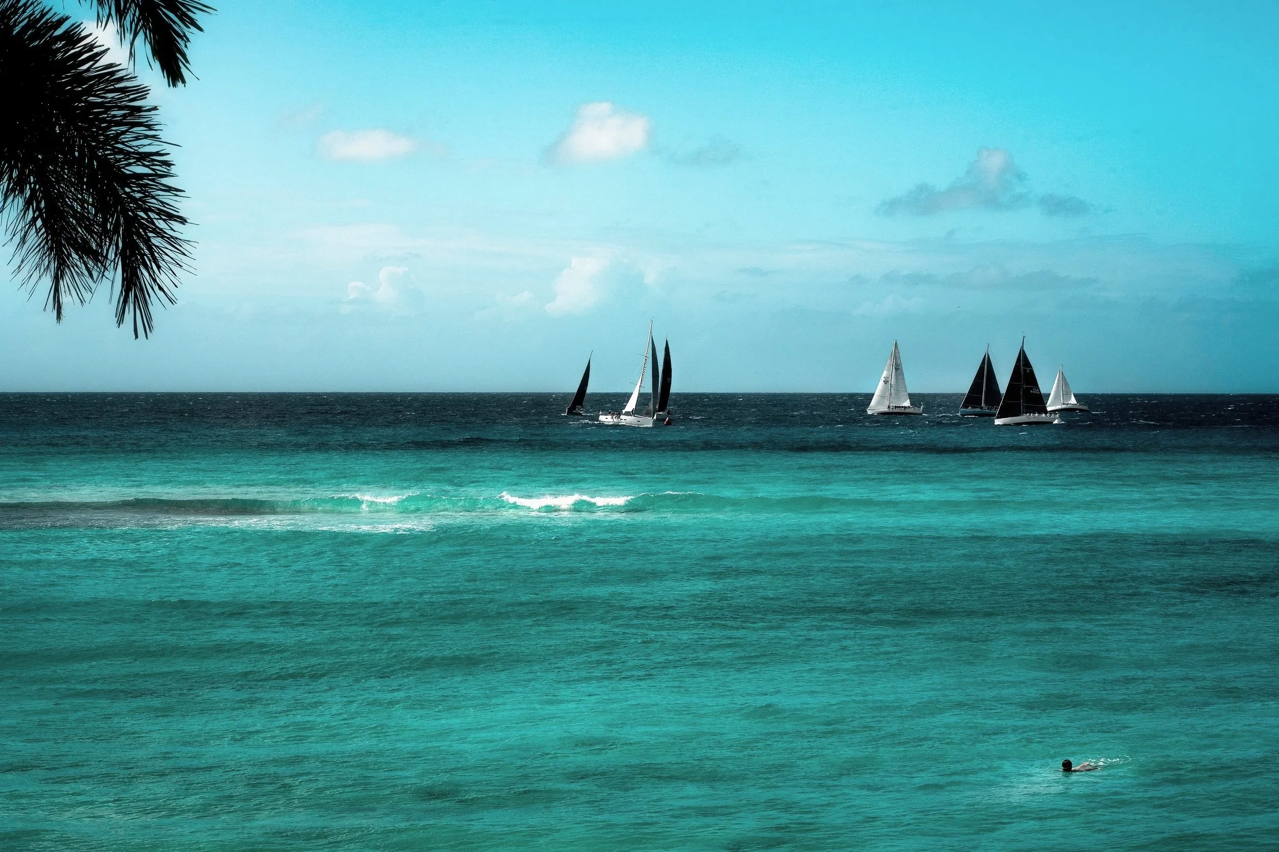 TRAVEL+Worthing+Sailboats+w+Palm+Branch+BARBADOS+2025.jpg