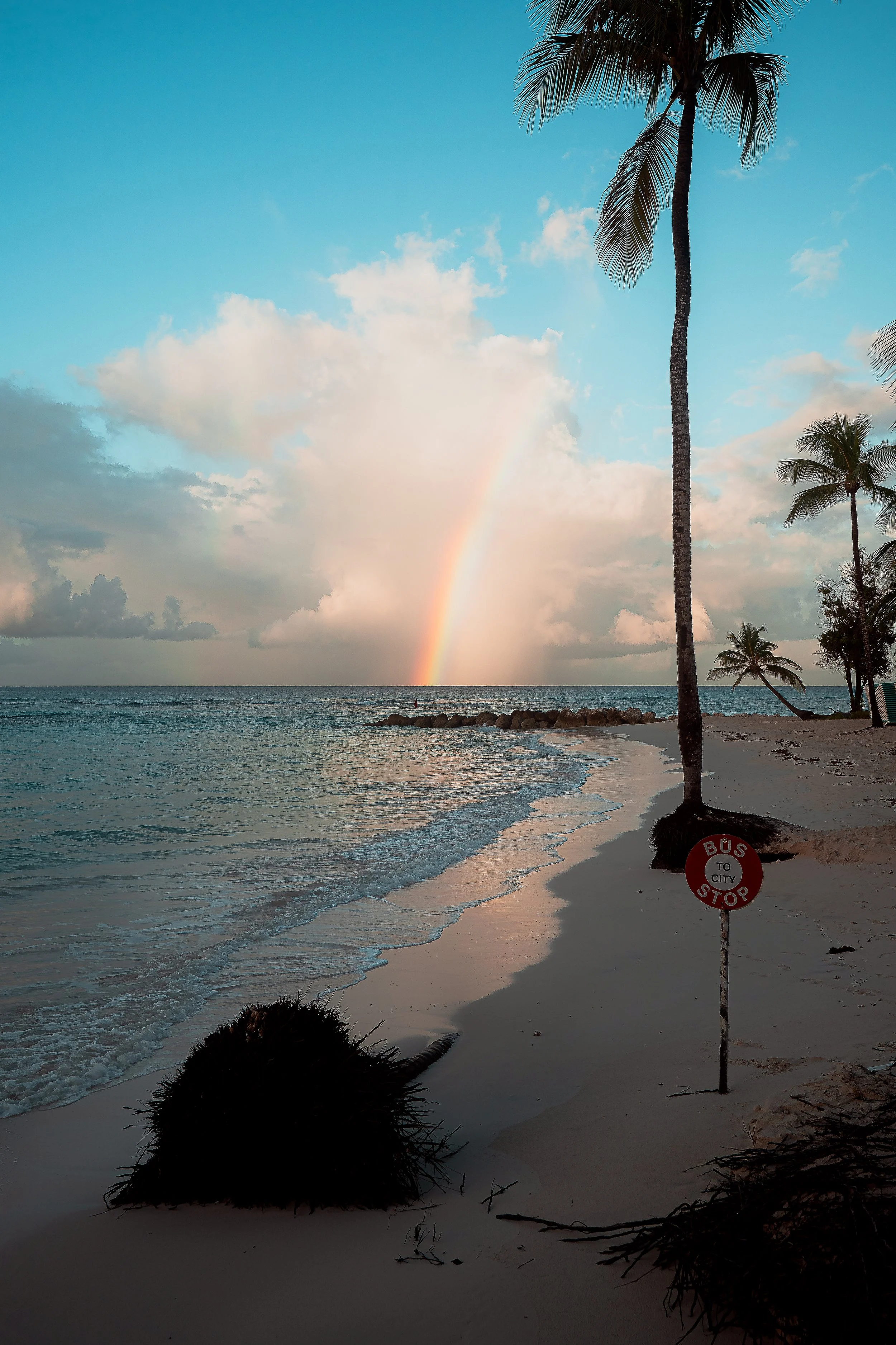 TRAVEL Worthing Beach Bus Stop Sign BARBADOS 2026.jpg