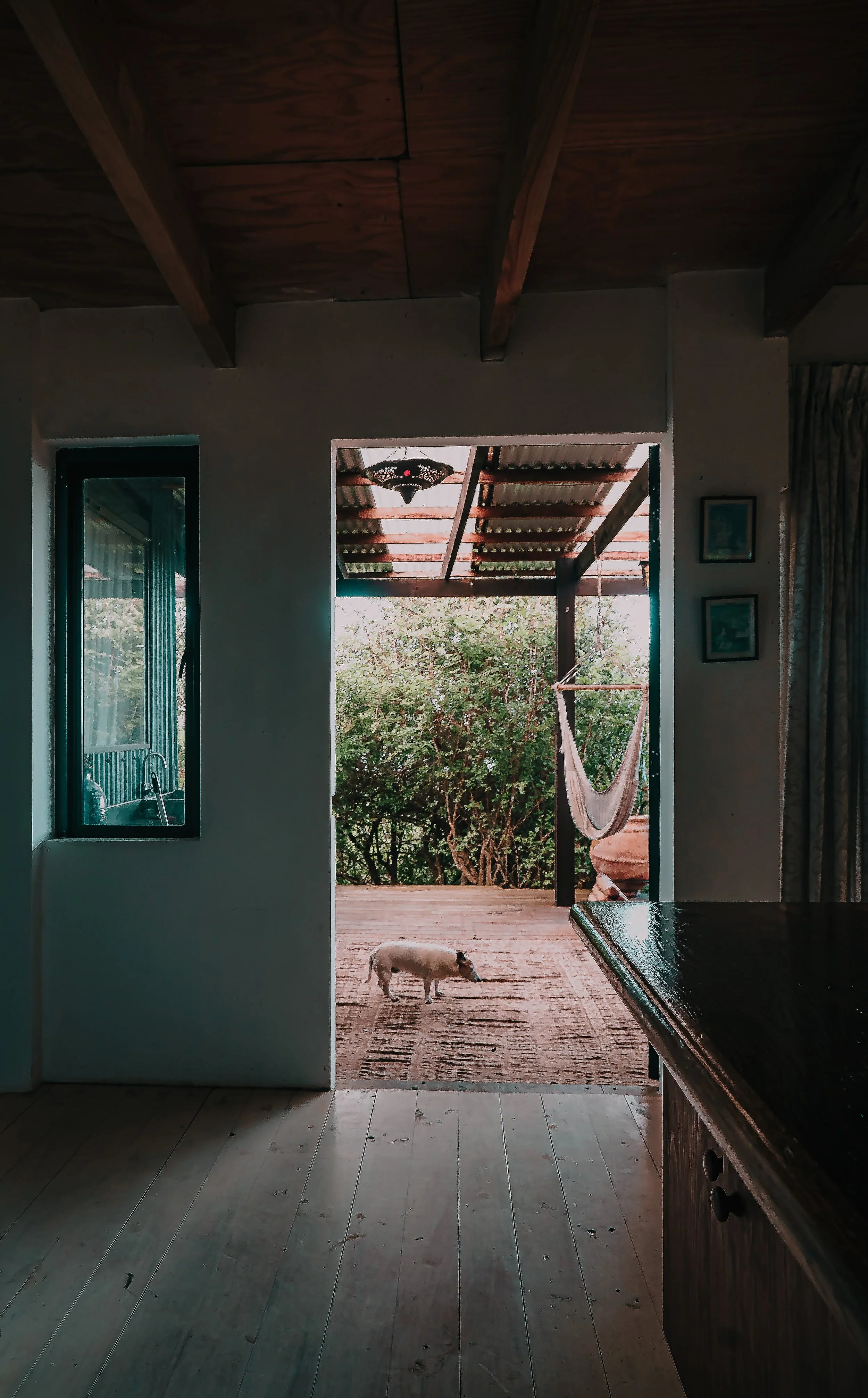 INTERIOR Pierre's Second Home ZaZa WILDERNESS MAY 2025.jpg