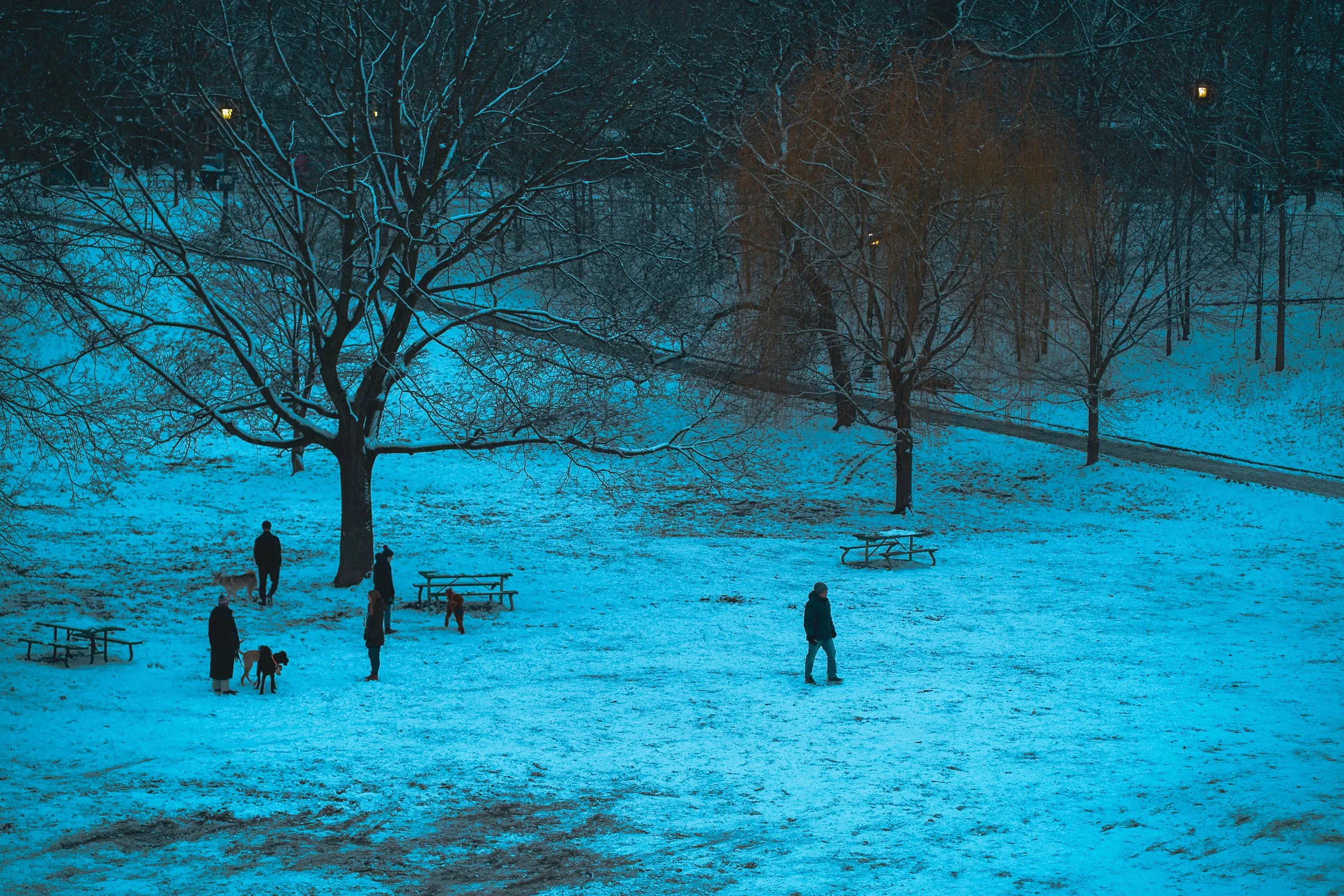 TRINITY BELLWOODS PARK