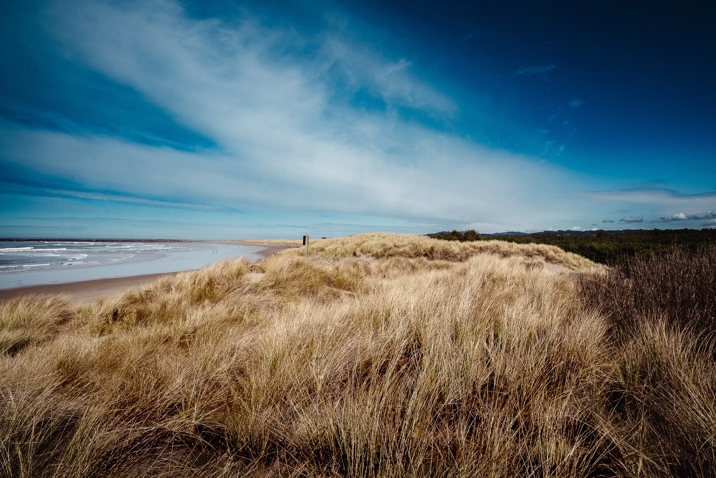 Oregon Coastline Newport Beach 2023.jpg