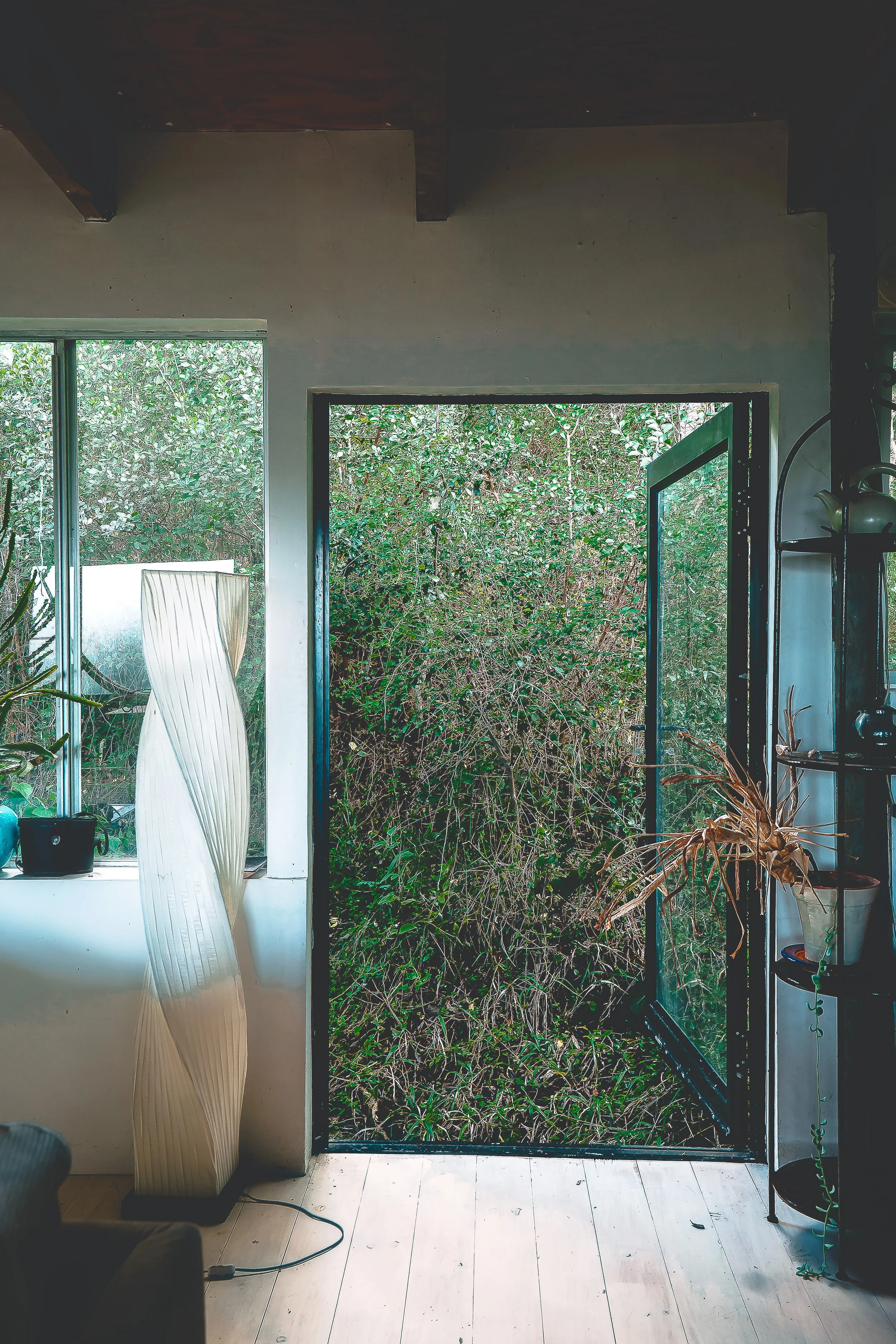 INTERIOR Pierre's Guest House Door Open WILDERNESS S.A. MAY 2025.jpg