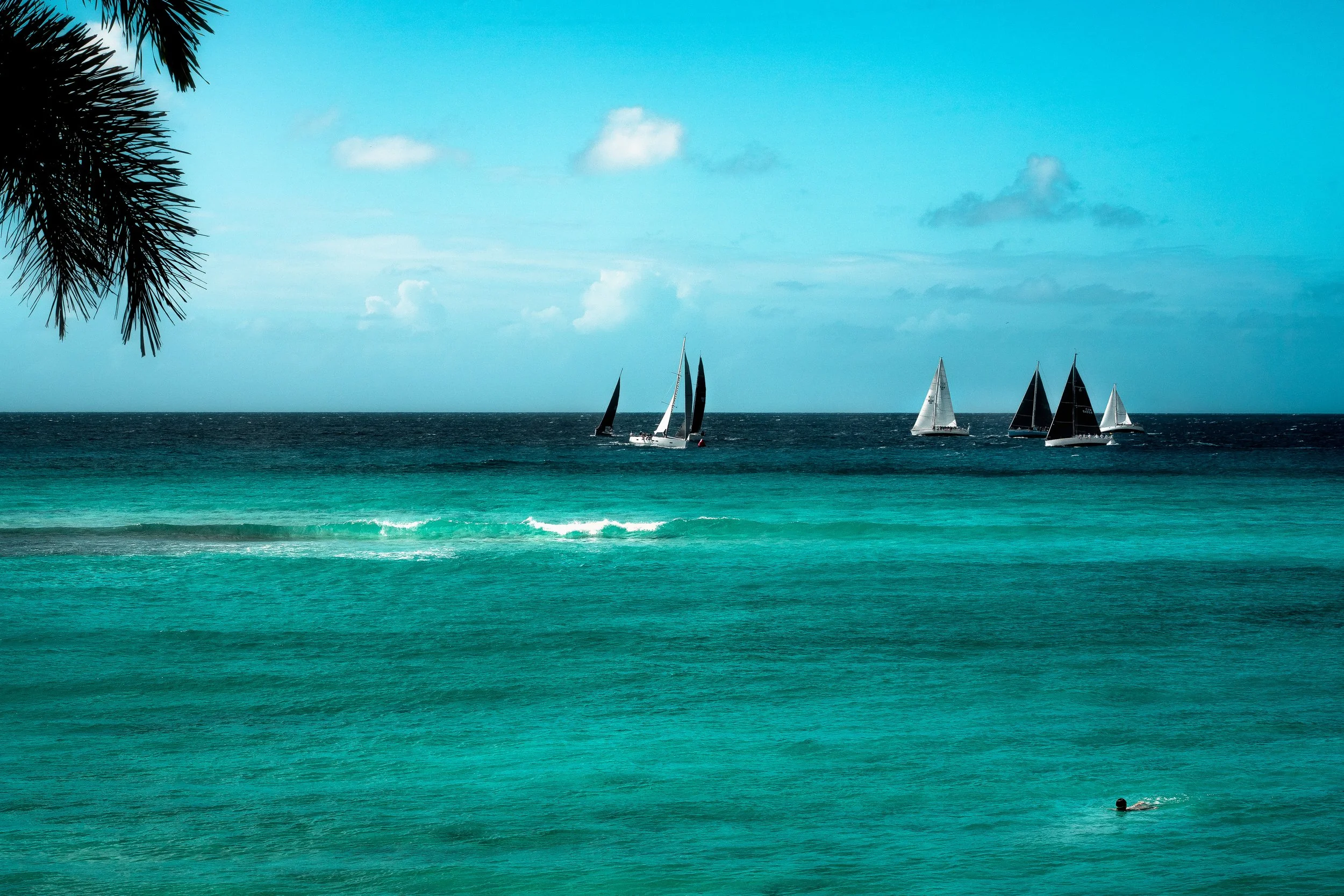 TRAVEL Worthing Sailboats w Palm Branch BARBADOS 2025.jpg