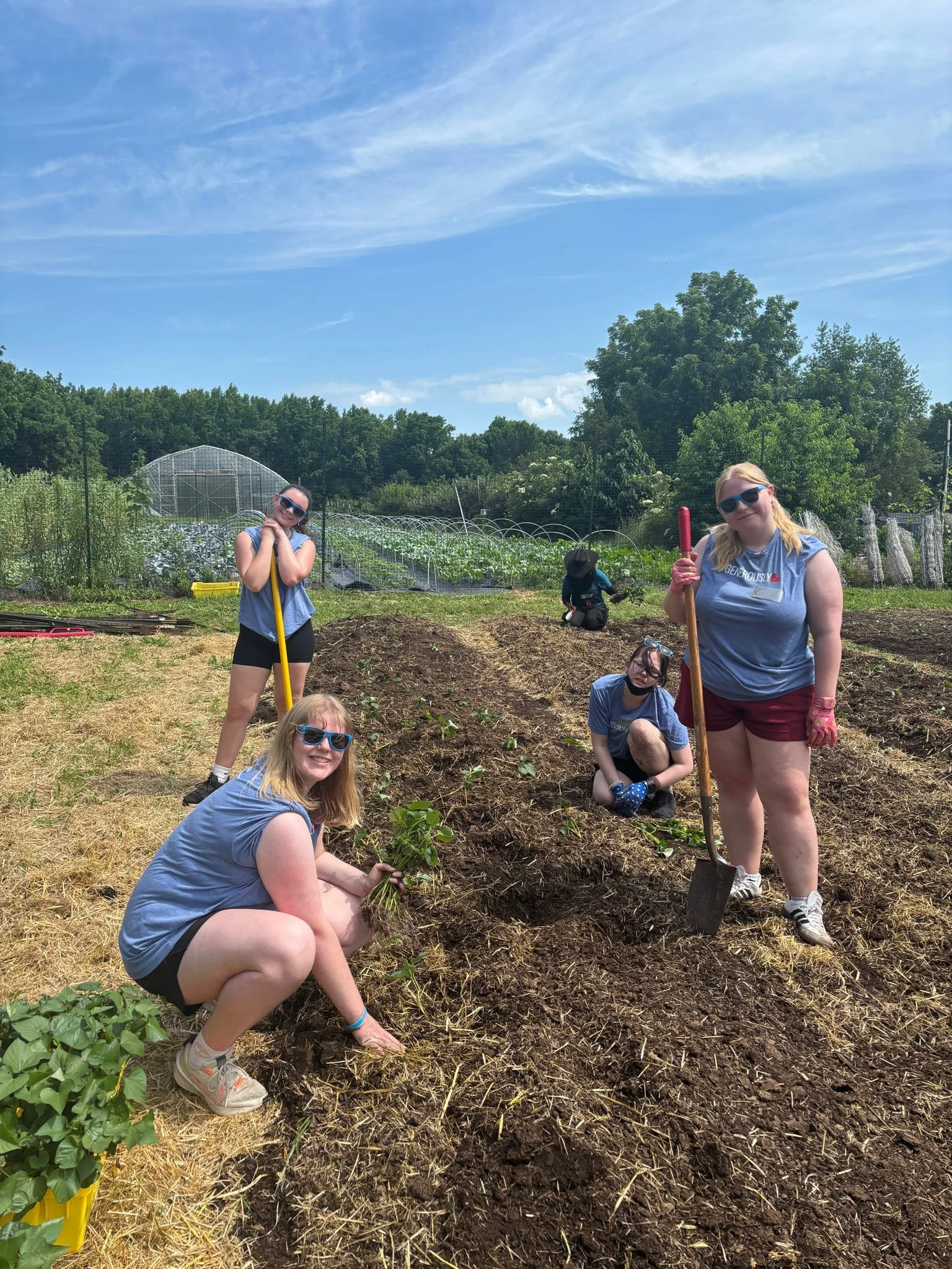 Group of young women gardening outdoors on a sunny day, planting in a garden bed with trees and a greenhouse in the background.