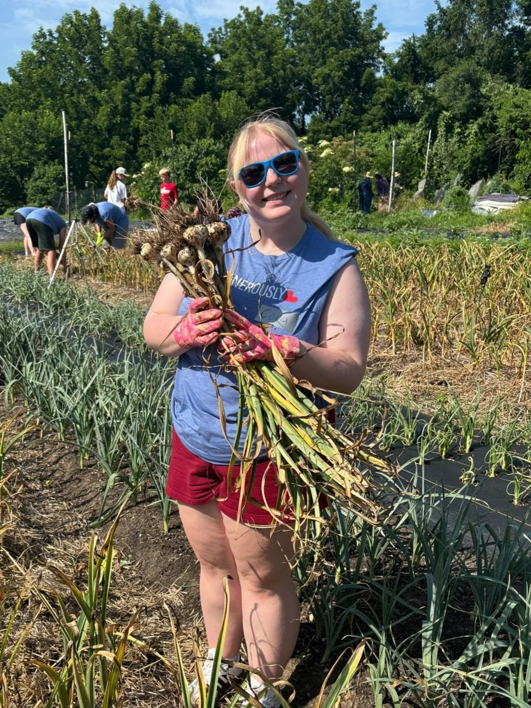 A young girl holding a bunch of freshly harvested garlic in a garden with other people working in the background.