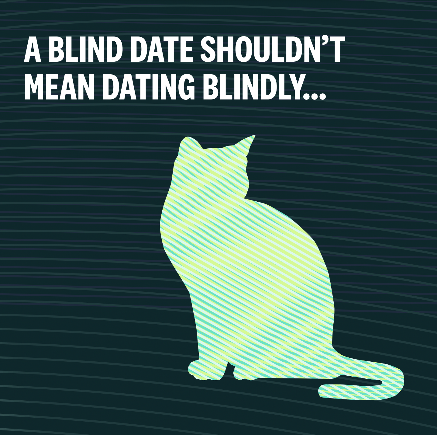 A graphic with a dark background and horizontal lines, featuring a silhouette of a cat in light green with diagonal stripes, and a message that reads, "A BLIND DATE SHOULDN’T MEAN DATING BLINDLY...".