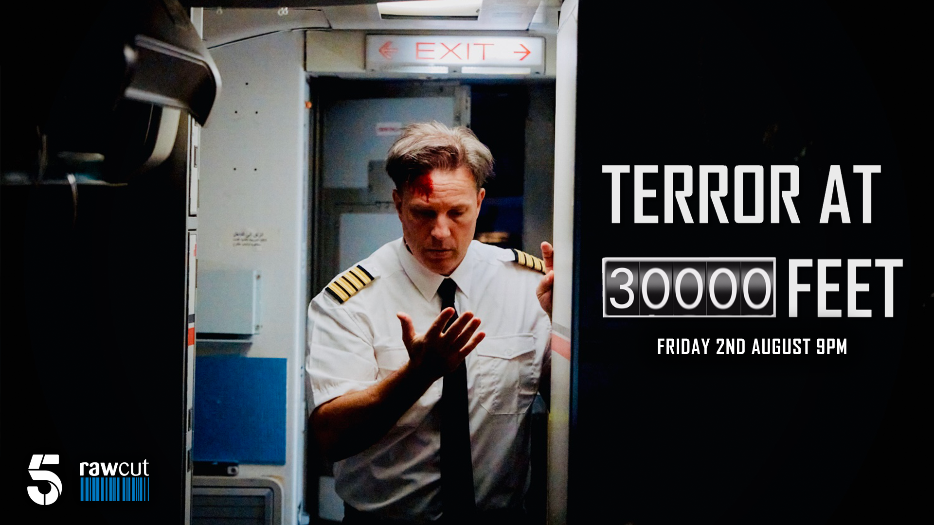 Director Rob McCabe's promotional poster for his documentary series 'Terror at 30,000 Feet'