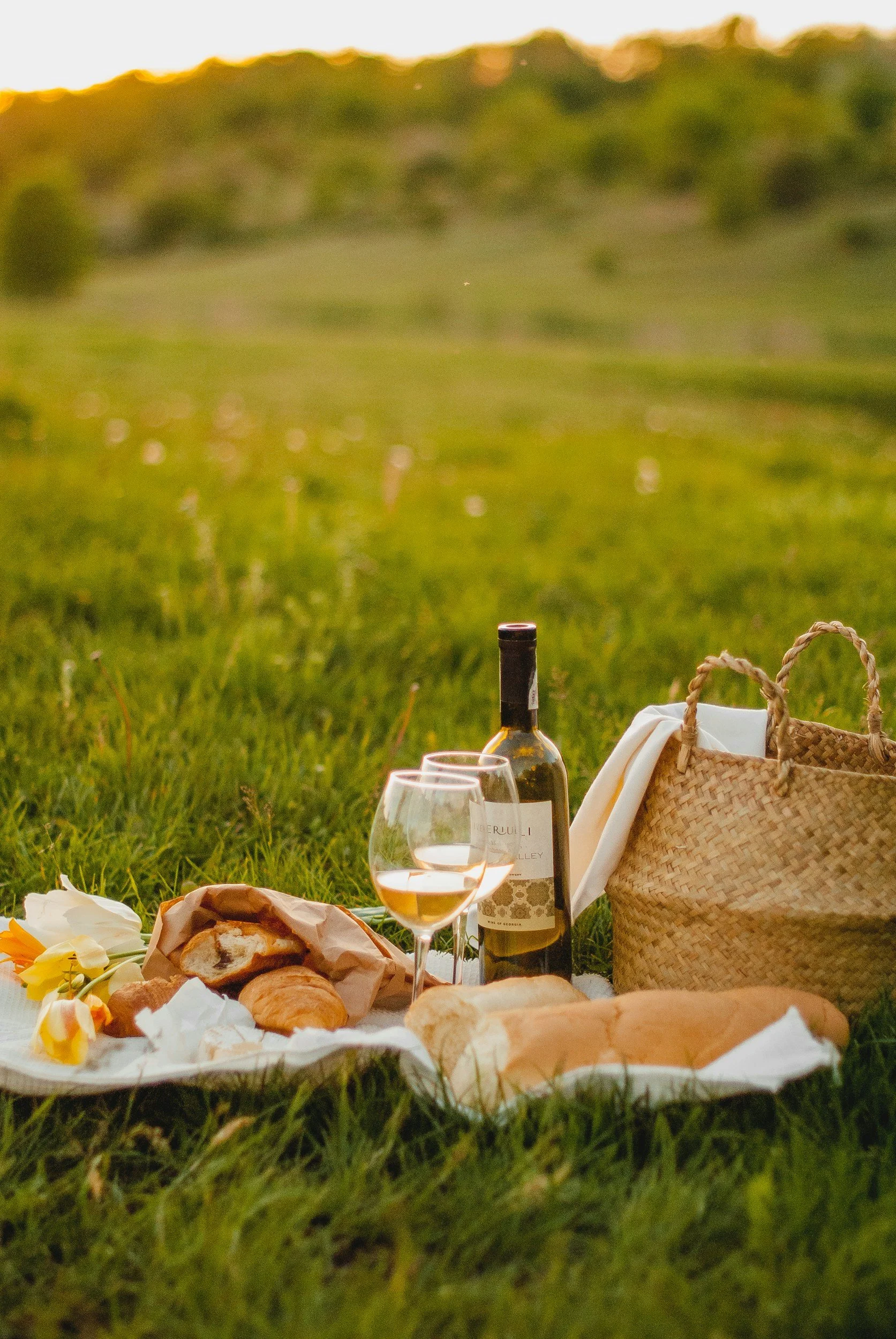 Verano: Cómo organizar un picnic perfecto al aire libre con amigos o familiares.