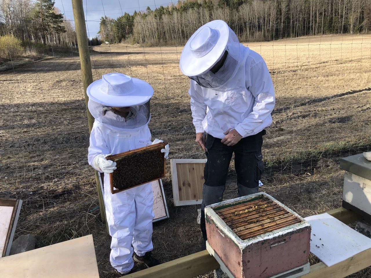 photo_2022-11-29 20.14.03.jpeg