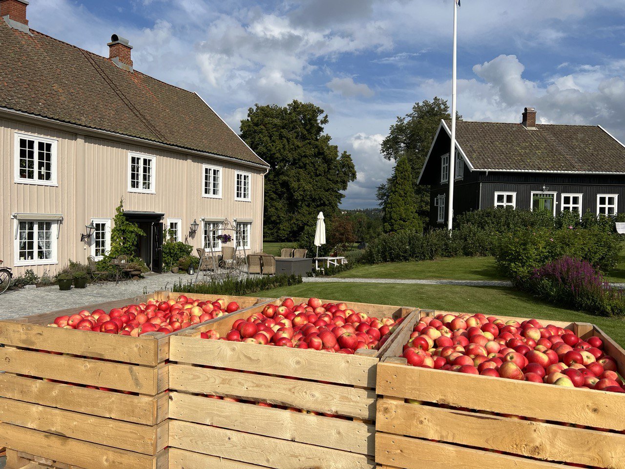 photo_2022-11-29 20.13.04.jpeg