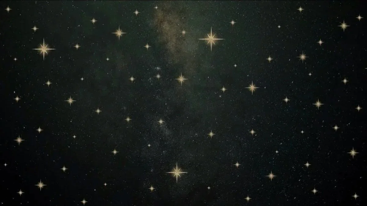 starts.jpg