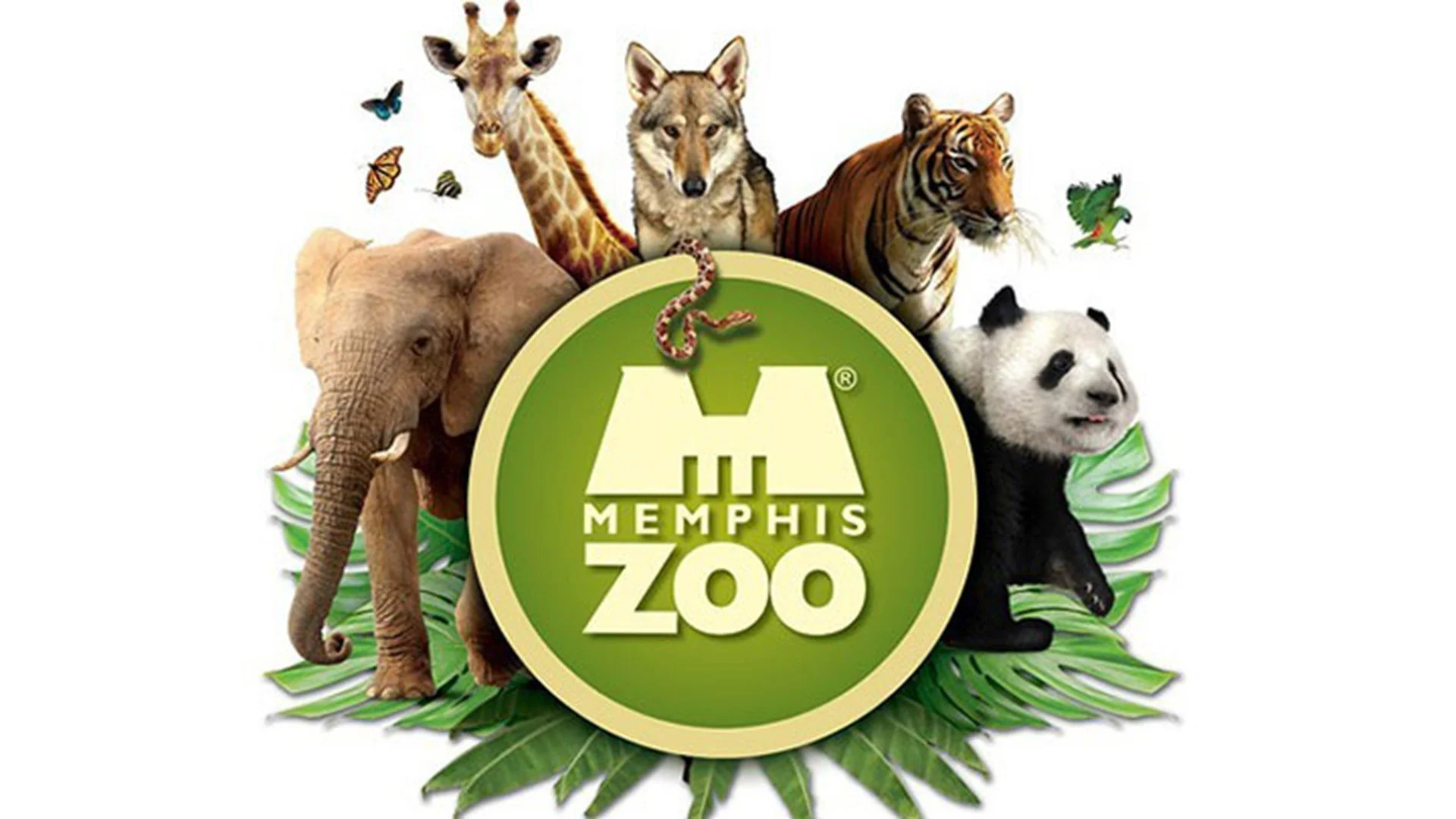 Bringing Science to Life at the Memphis Zoo SEAS' Latest Project