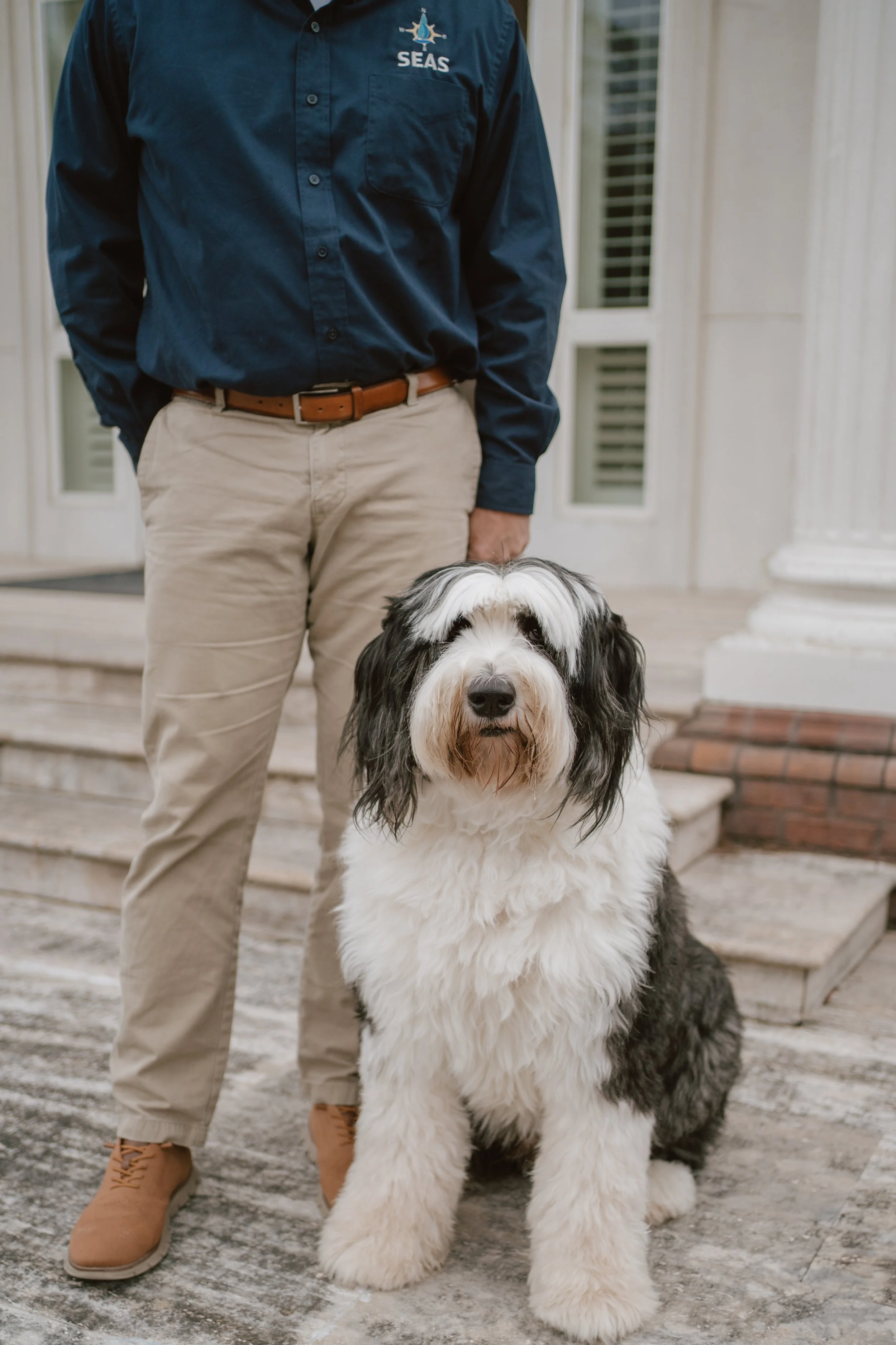   EDISON  Largest Lapdog  