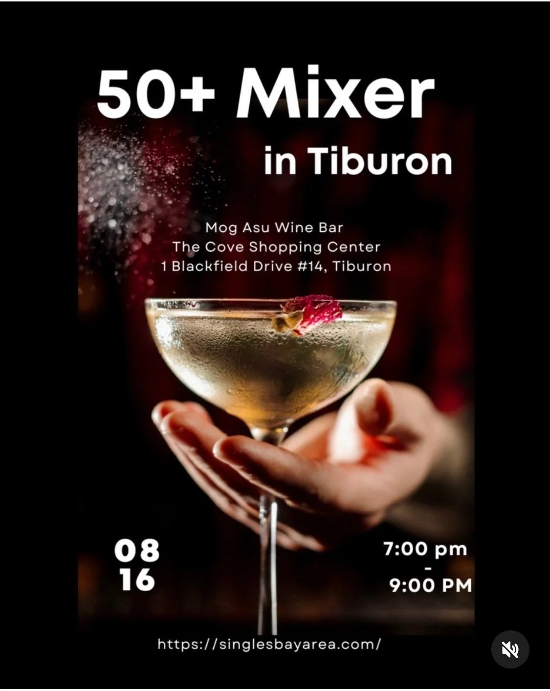 50+ Singles Mixer with Singles Bay Area