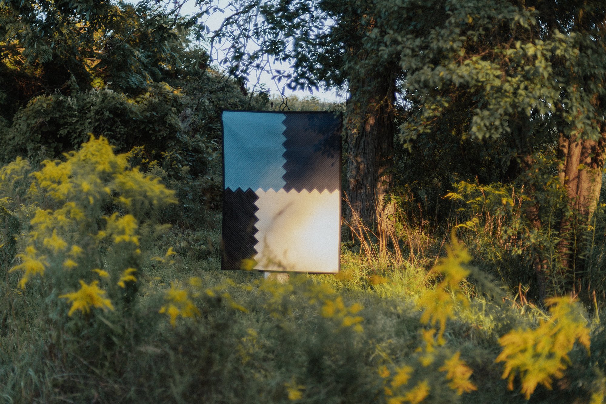 Briar Quilt Fields.jpg