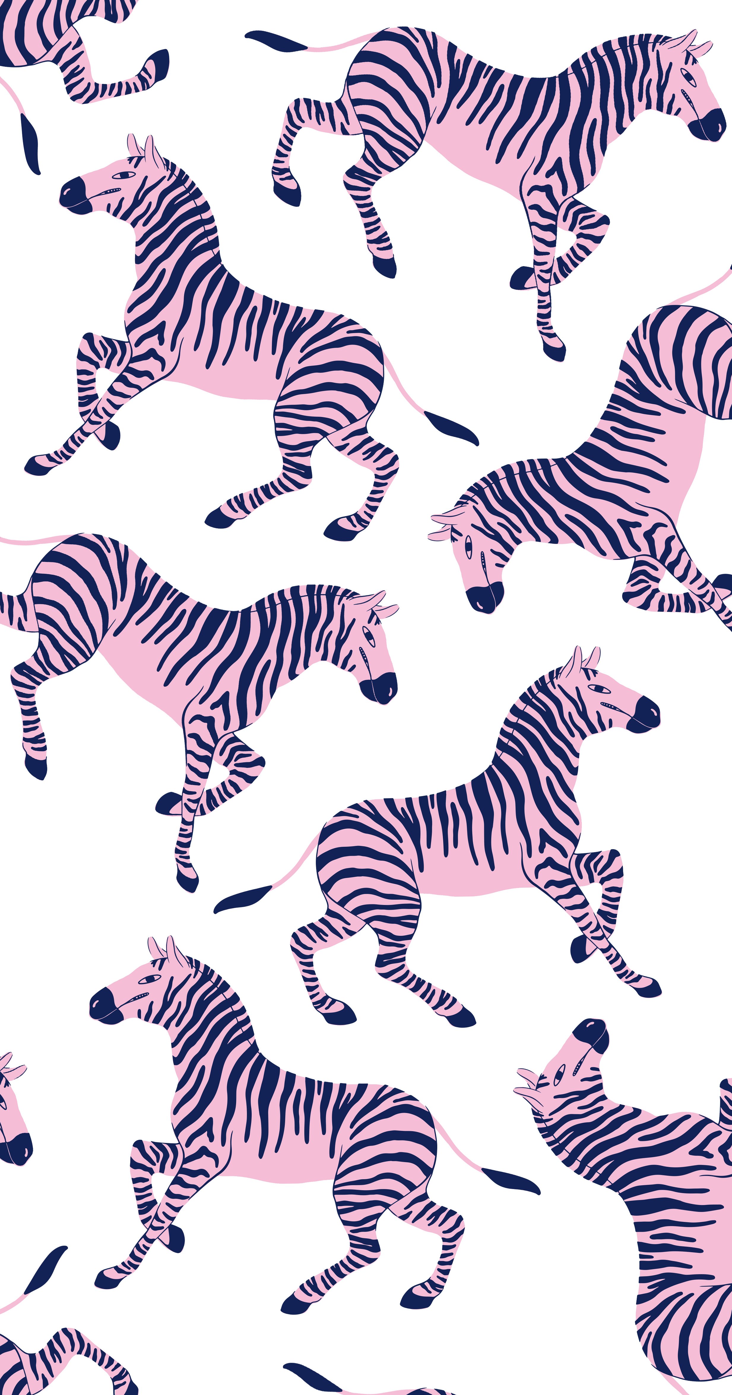 Zebra.jpg