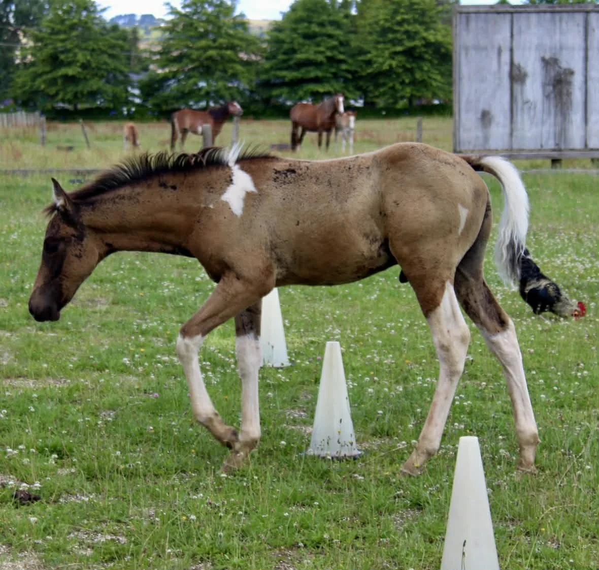 WHEN THE STARS ALIGN x CASCADING DEJA VU